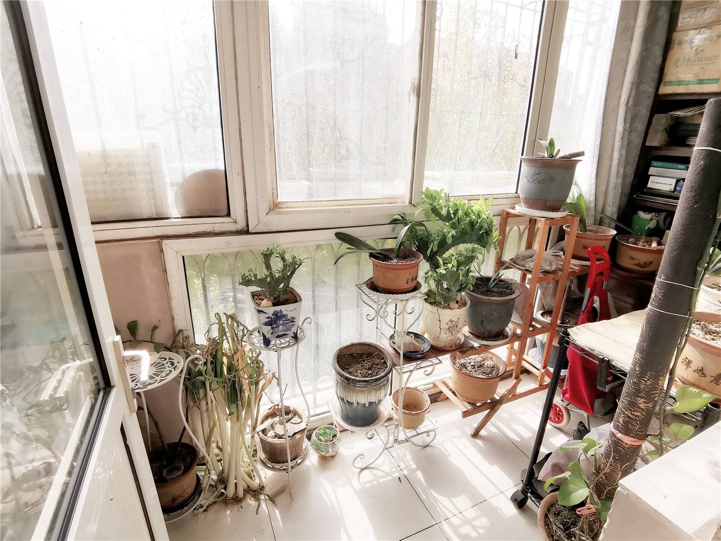 阳光舜城中区十区