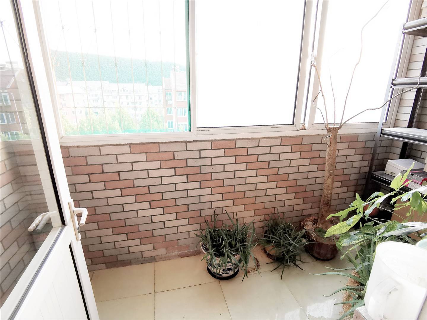 阳光舜城十区