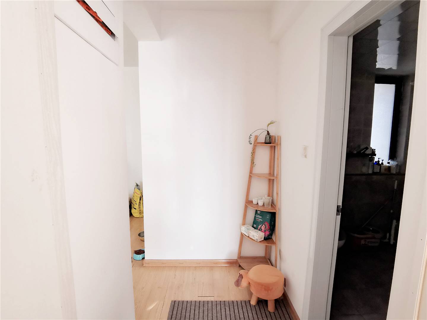 中国MALL城市之星