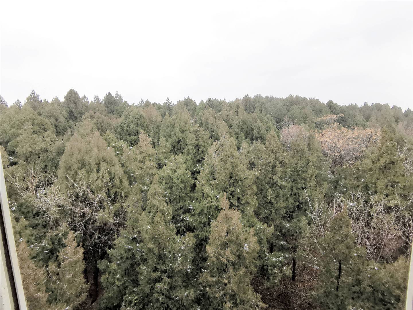 六里山南路宿舍