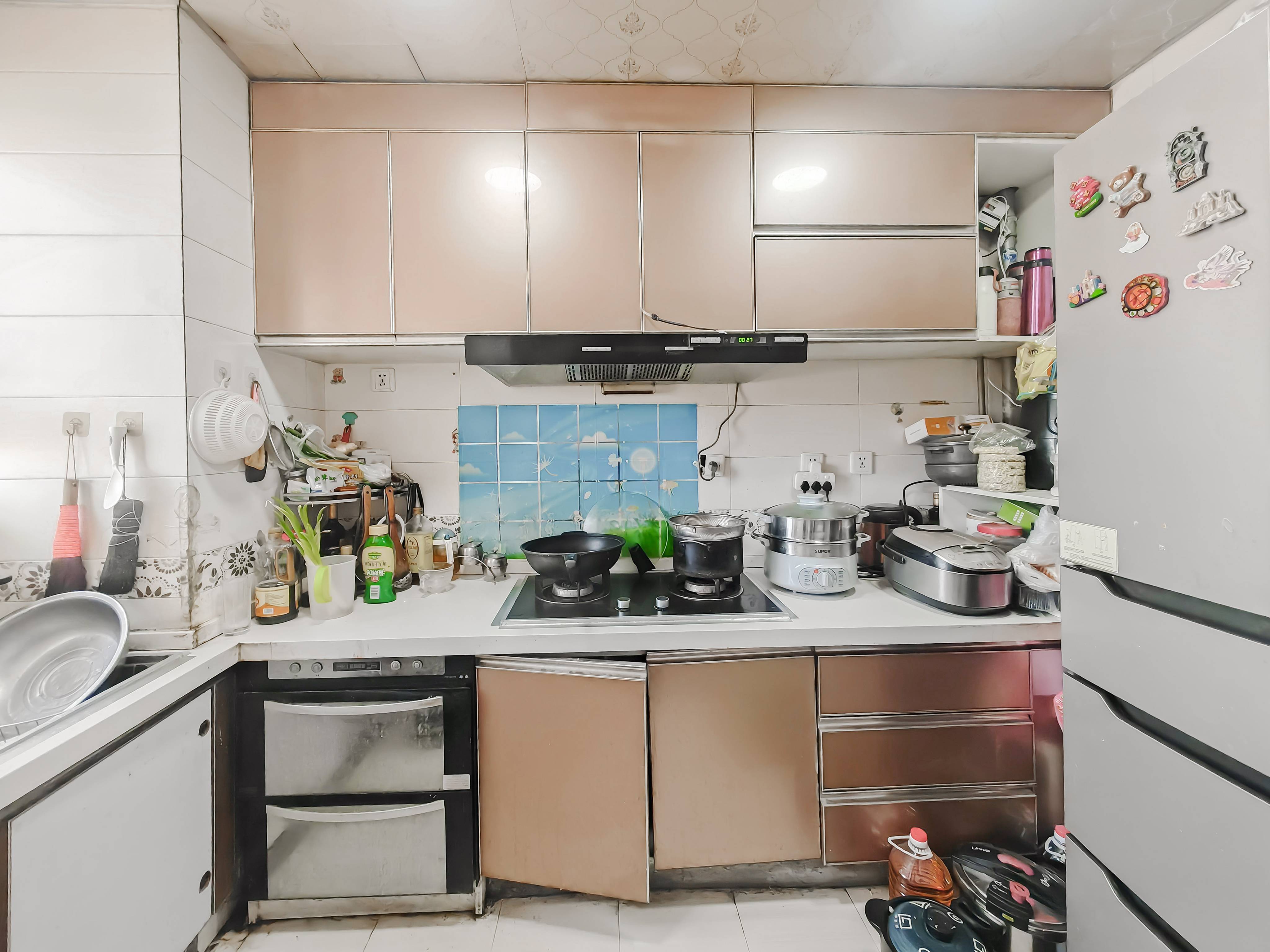 中海紫御东郡(东区)