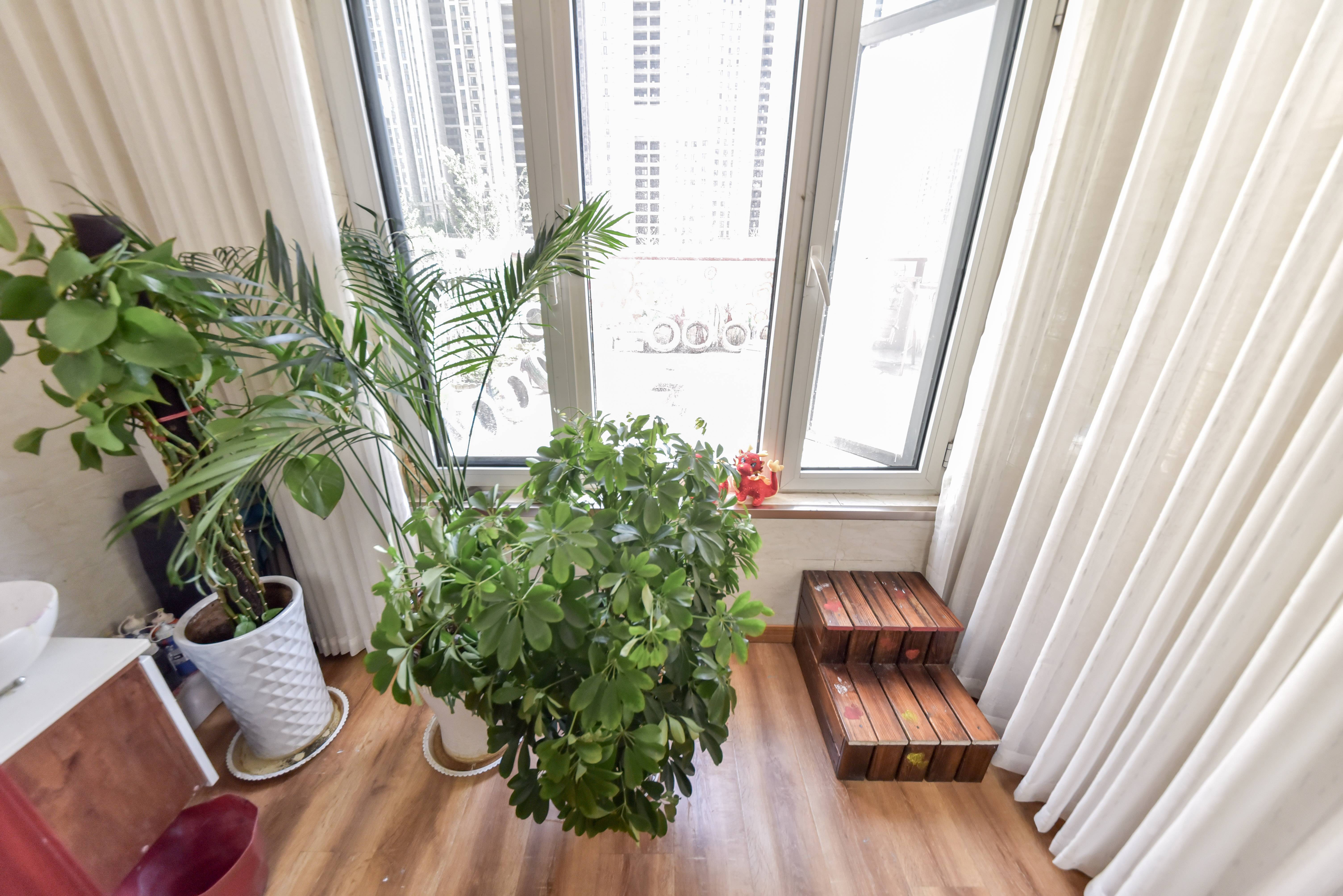 中新国际东城一区