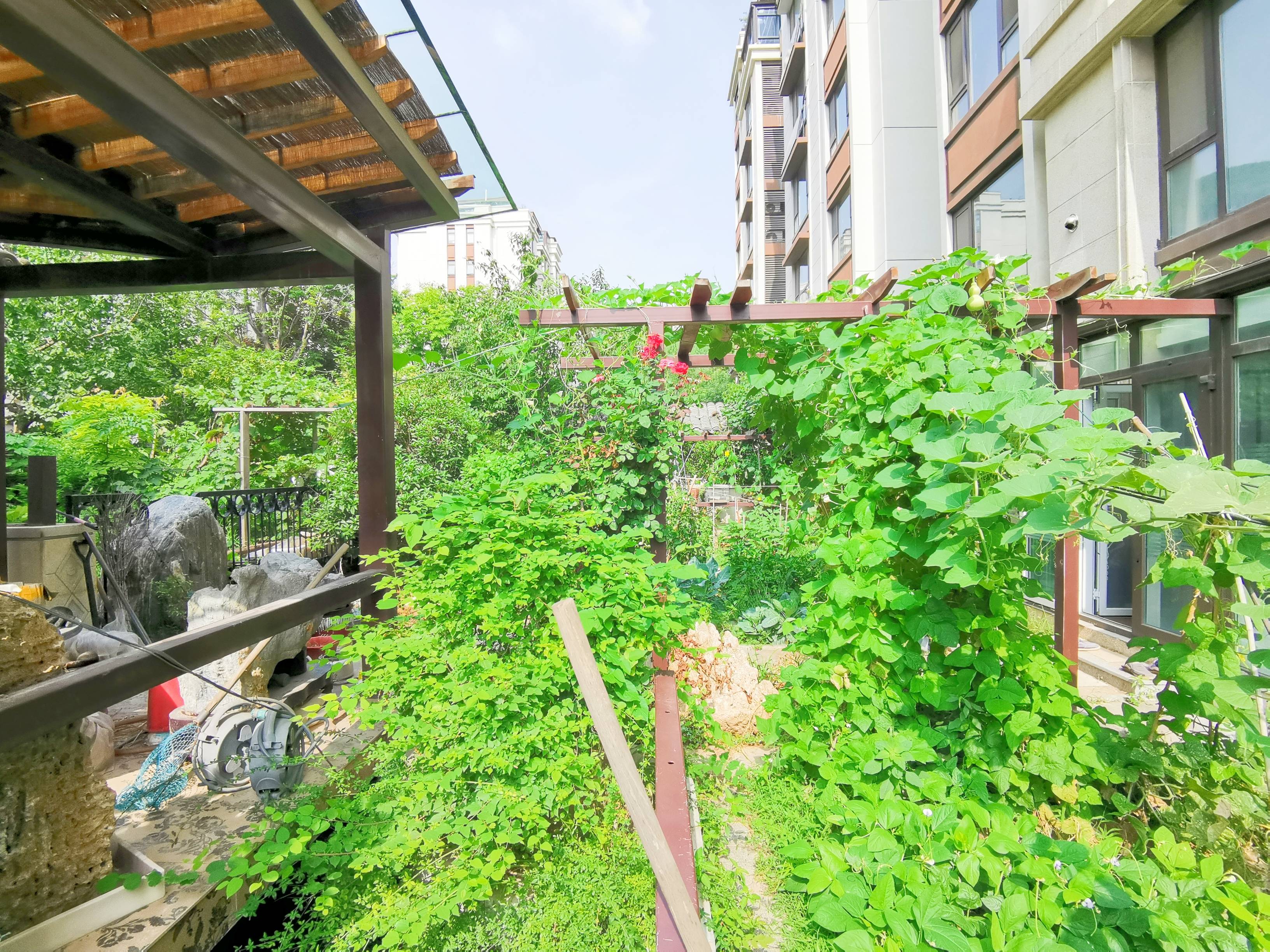 鲁能领秀城漫山香墅天麓