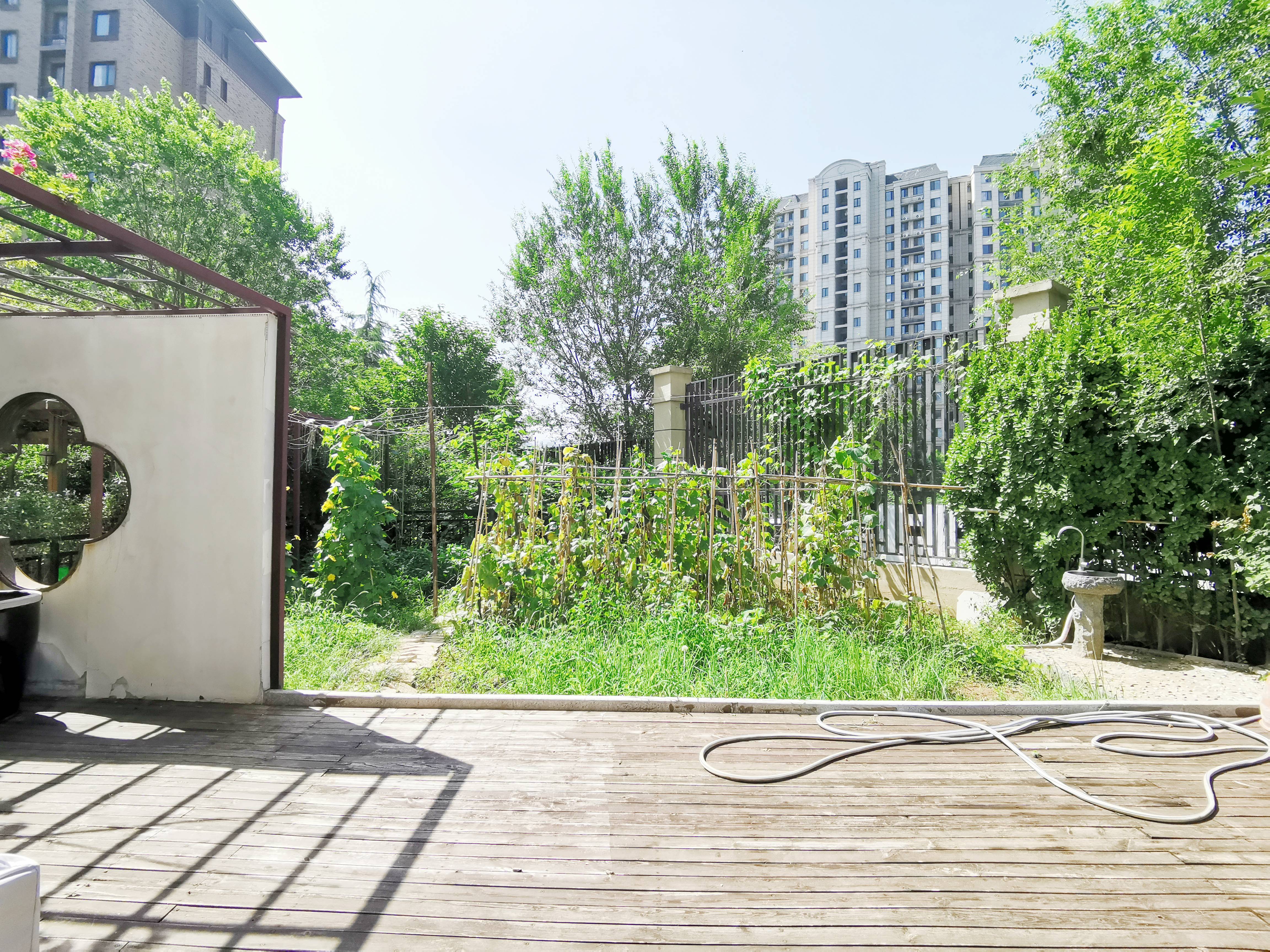 华润仰山红叶林