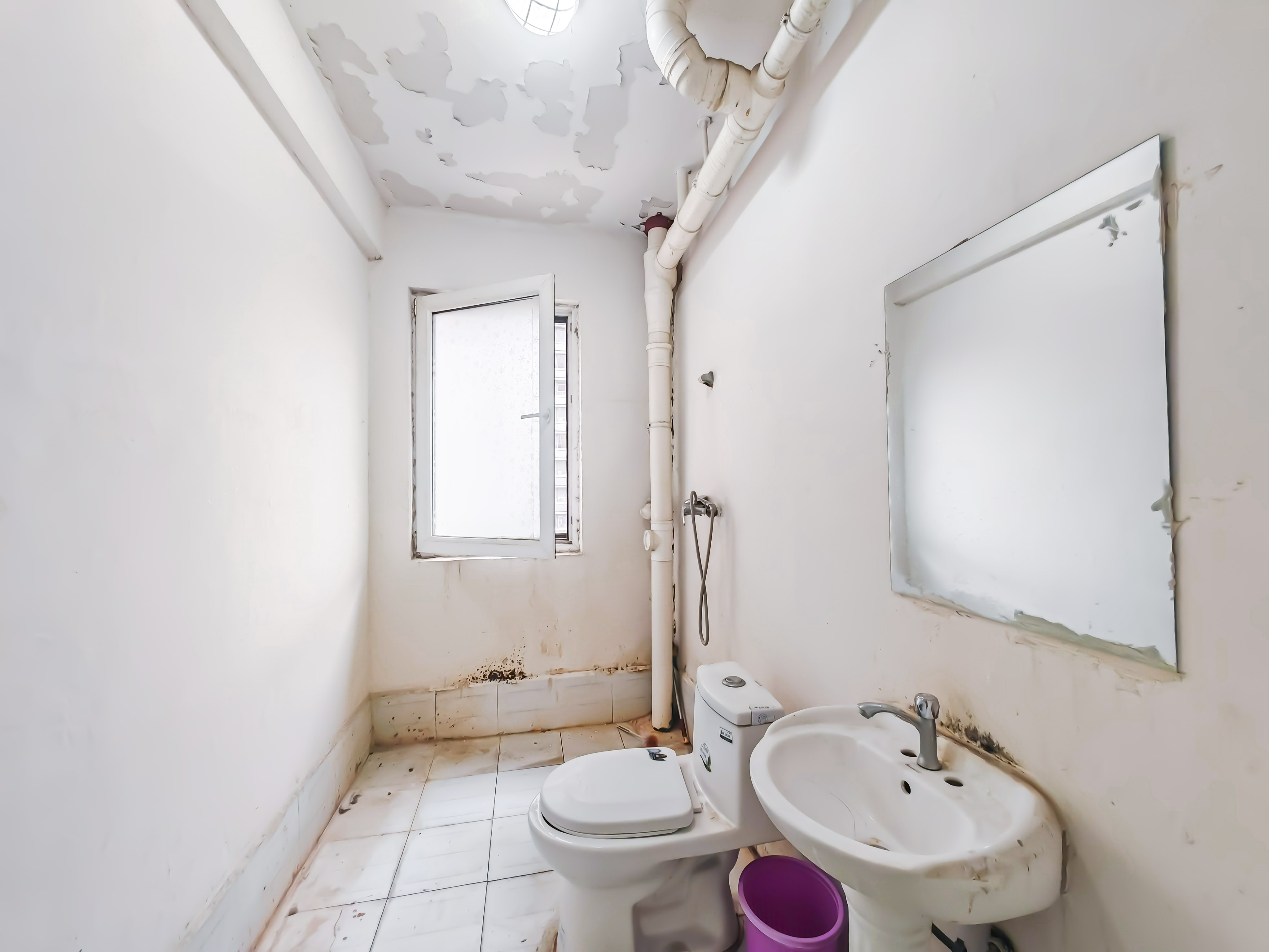 天鸿万象新天万卷府