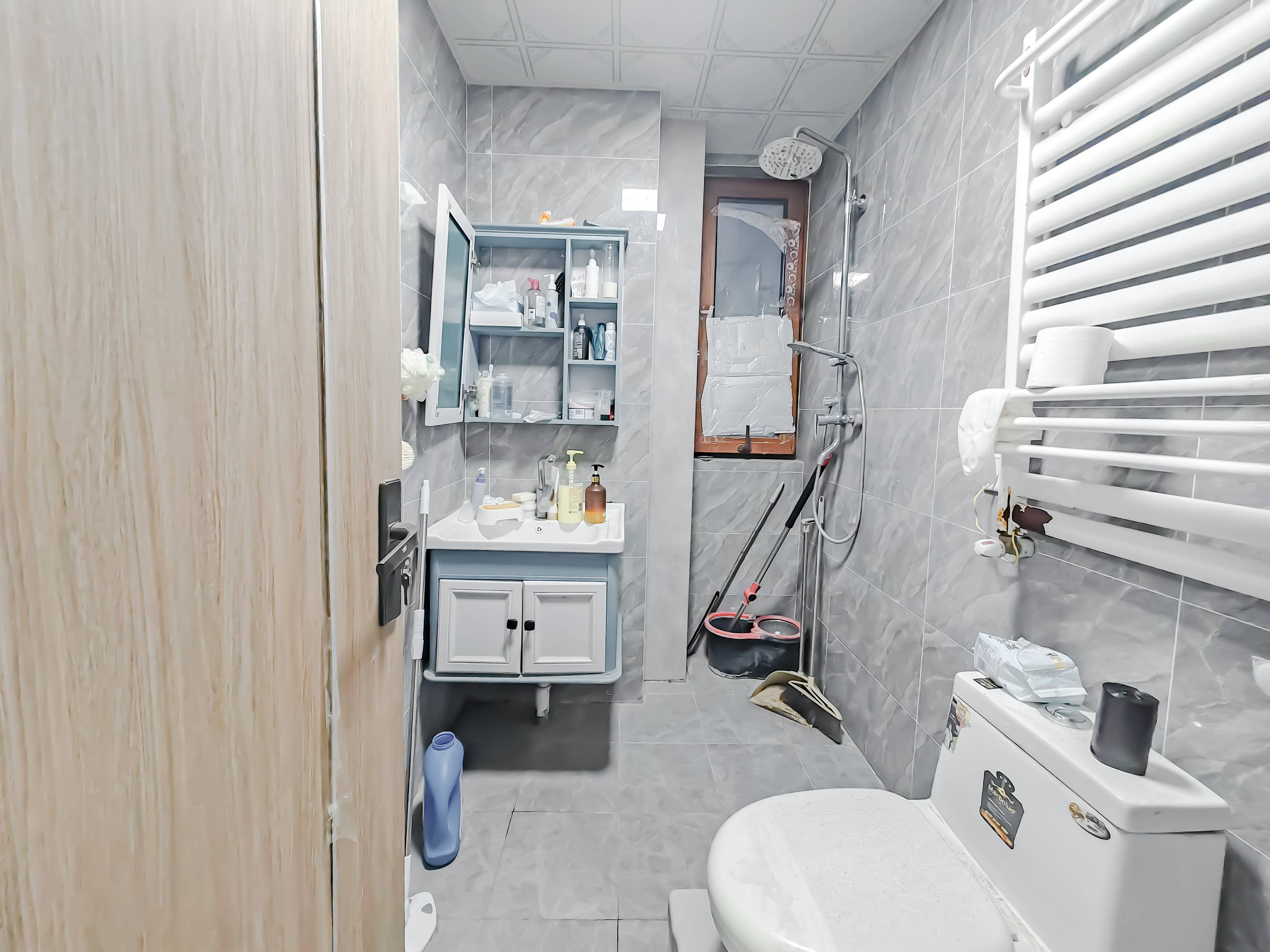 天鸿万象新天公园大道