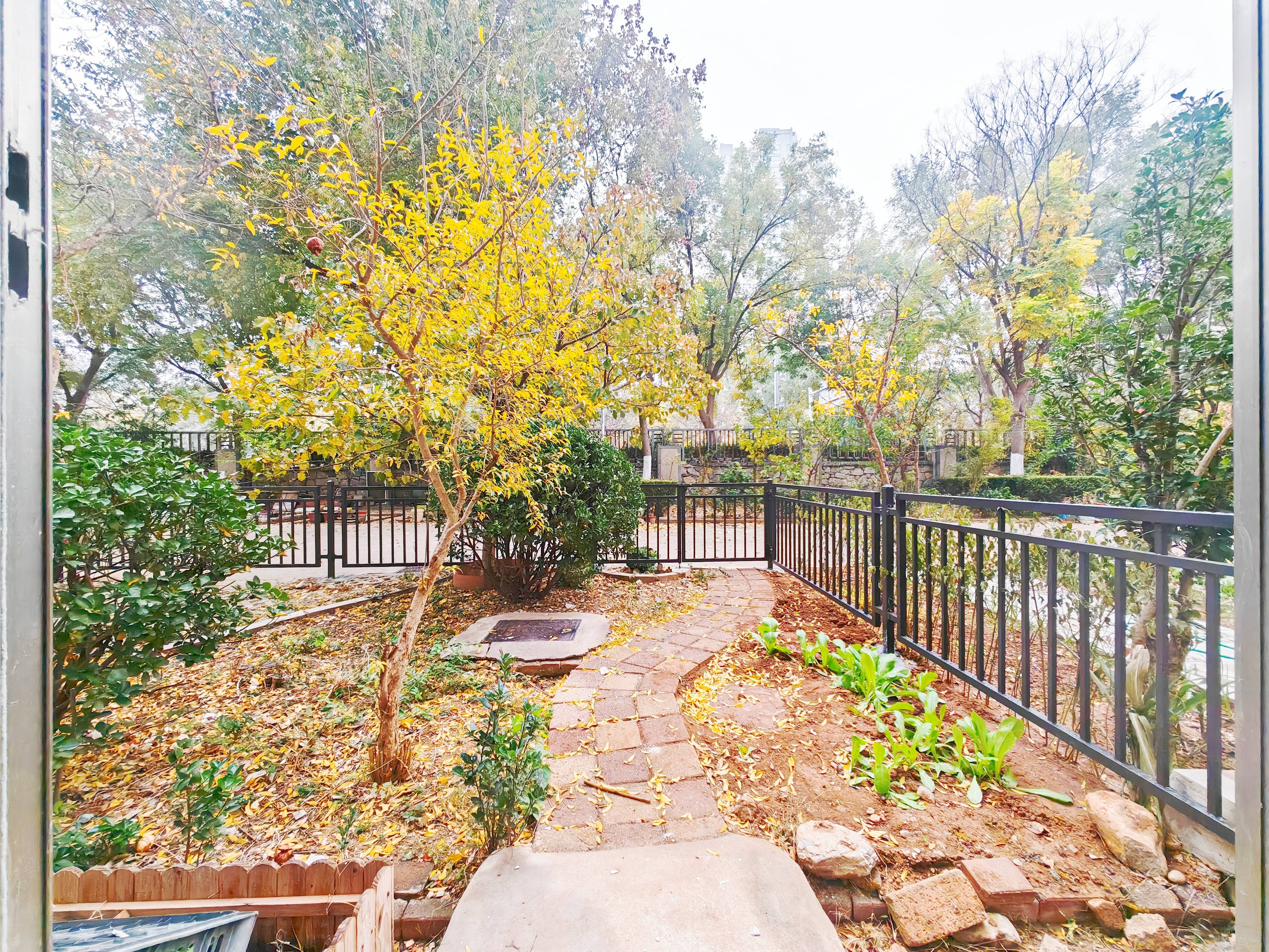 鲁能领秀城D区（九区）