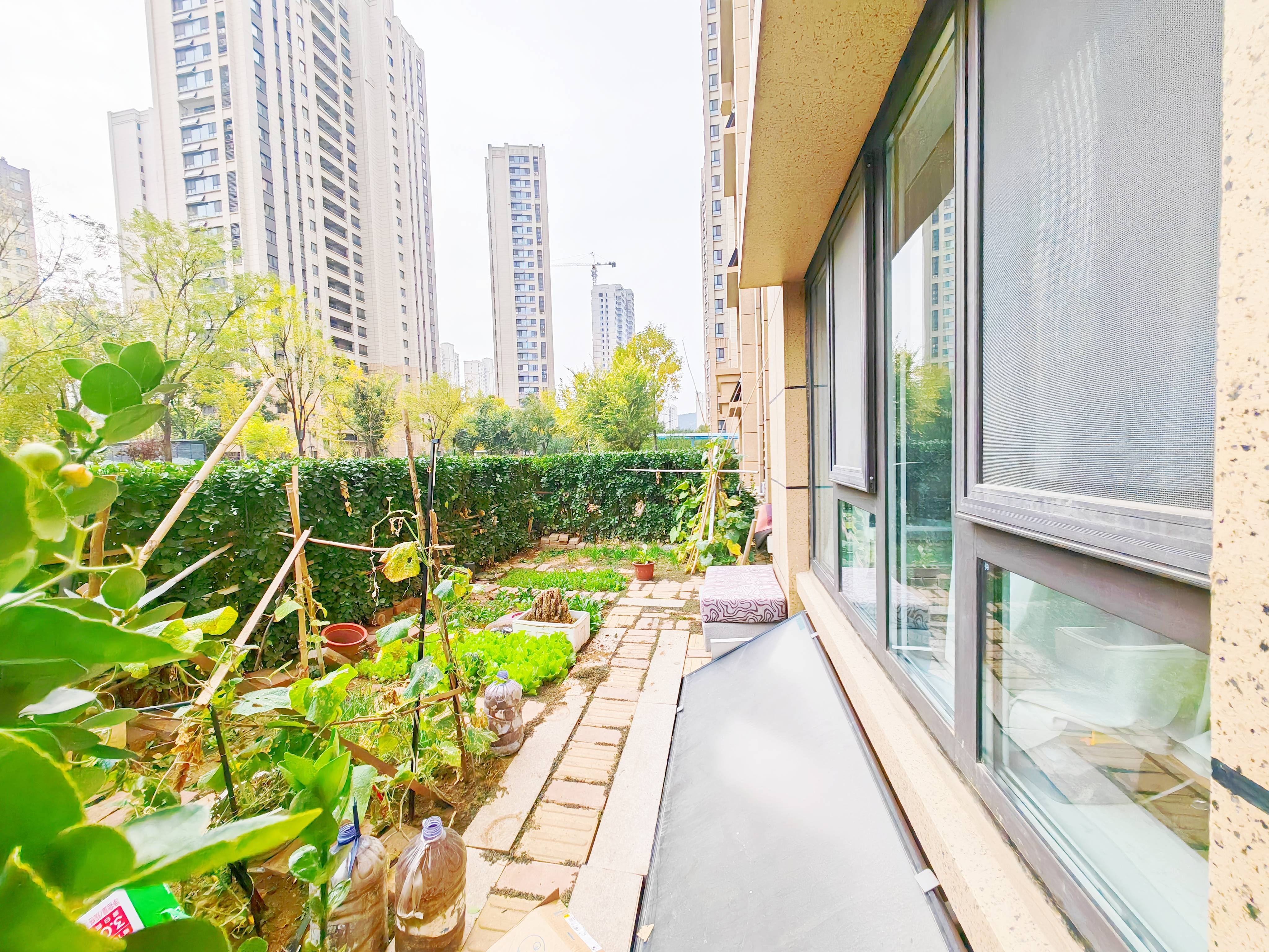 中国MALL城市之星