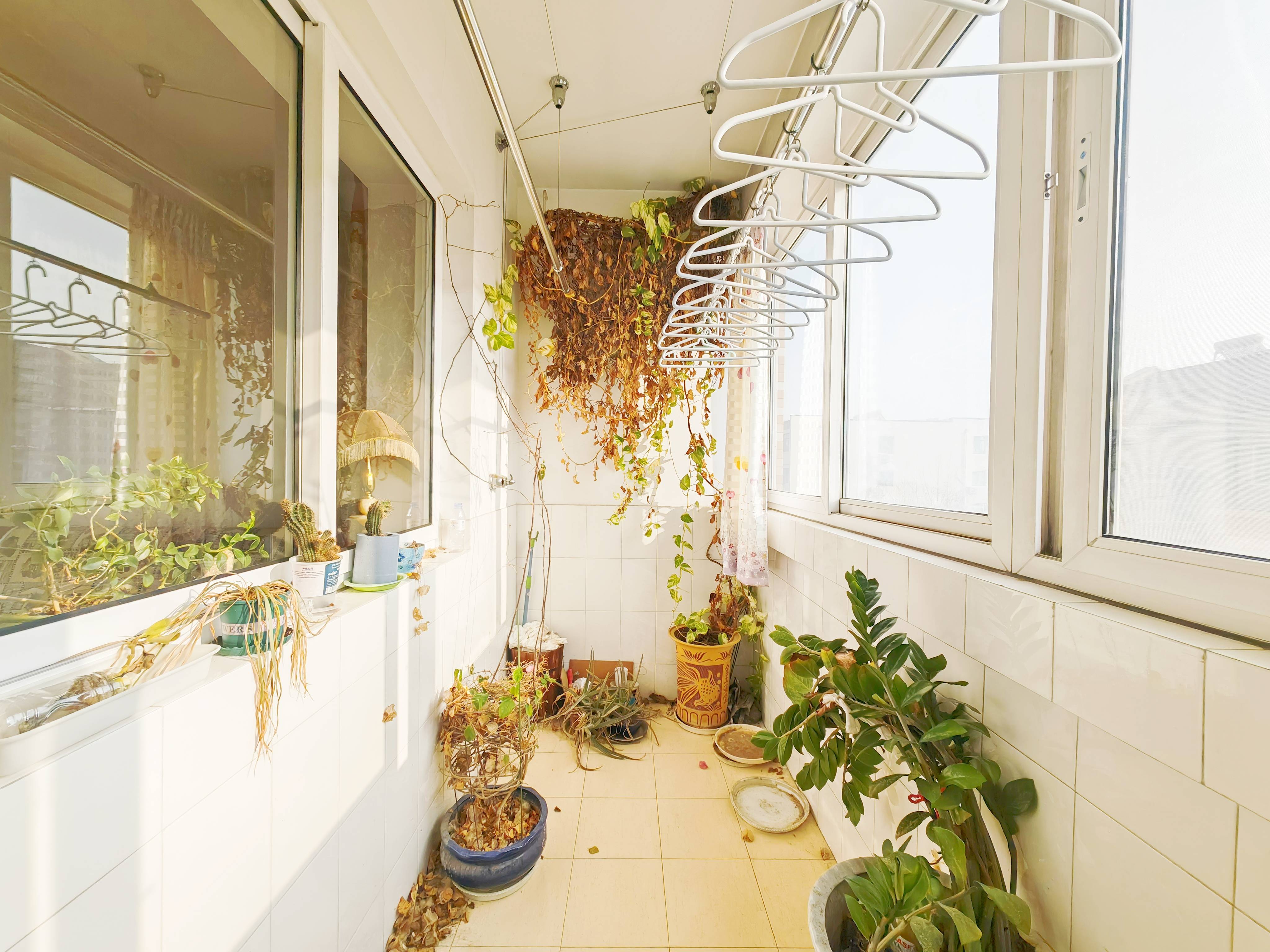 二七新村南路14号院