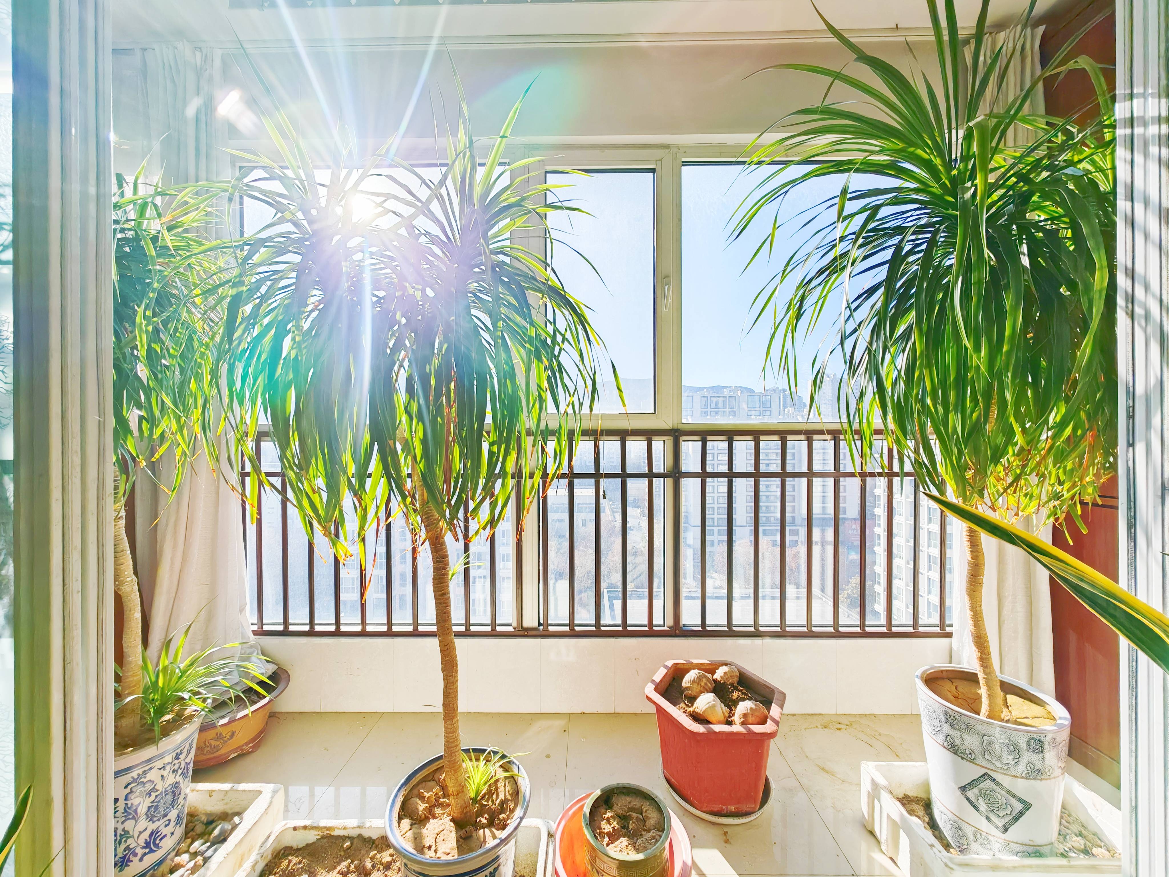 鲁能领秀城E区（六区）