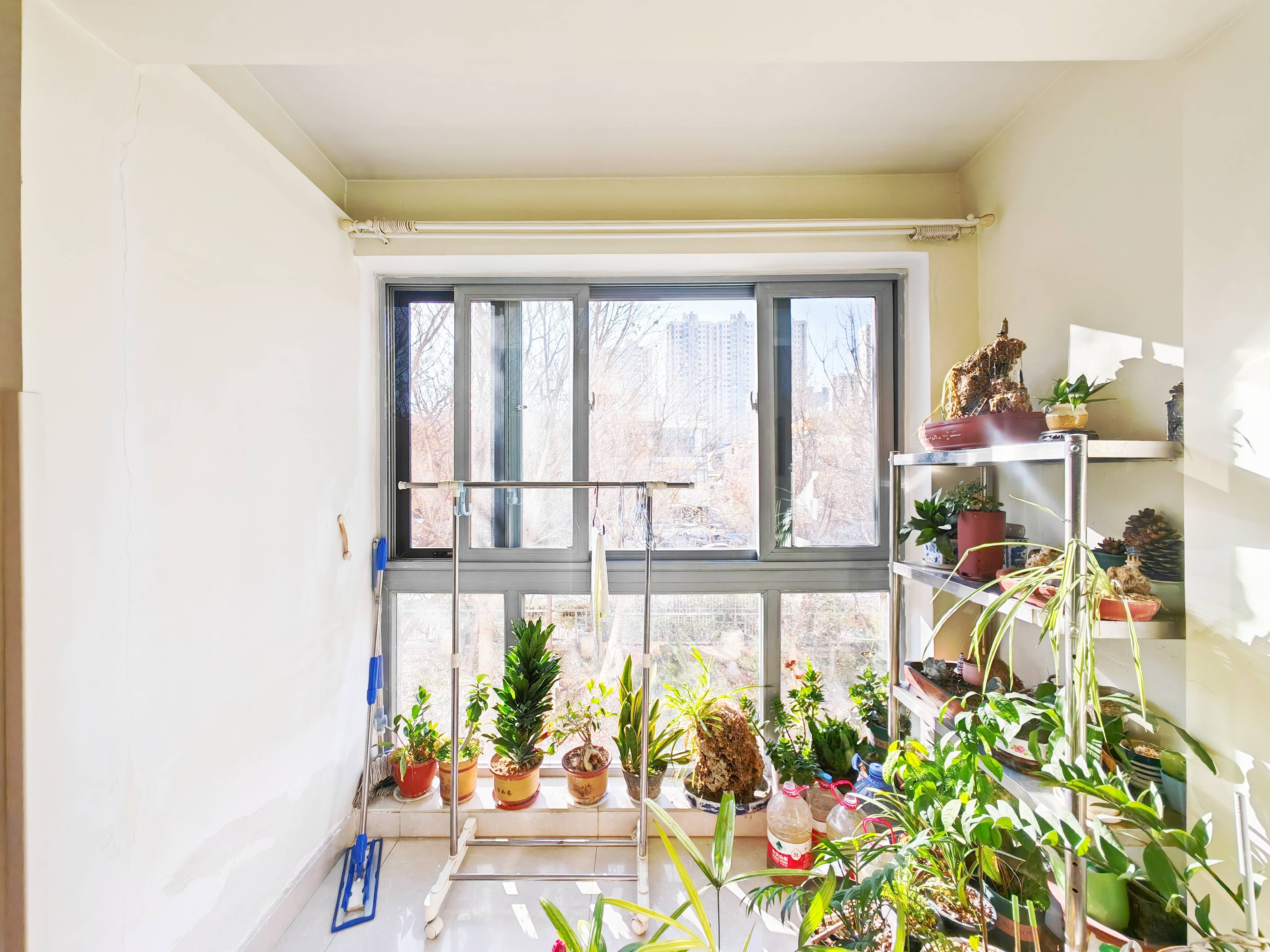 鲁能领秀城C区（八区）