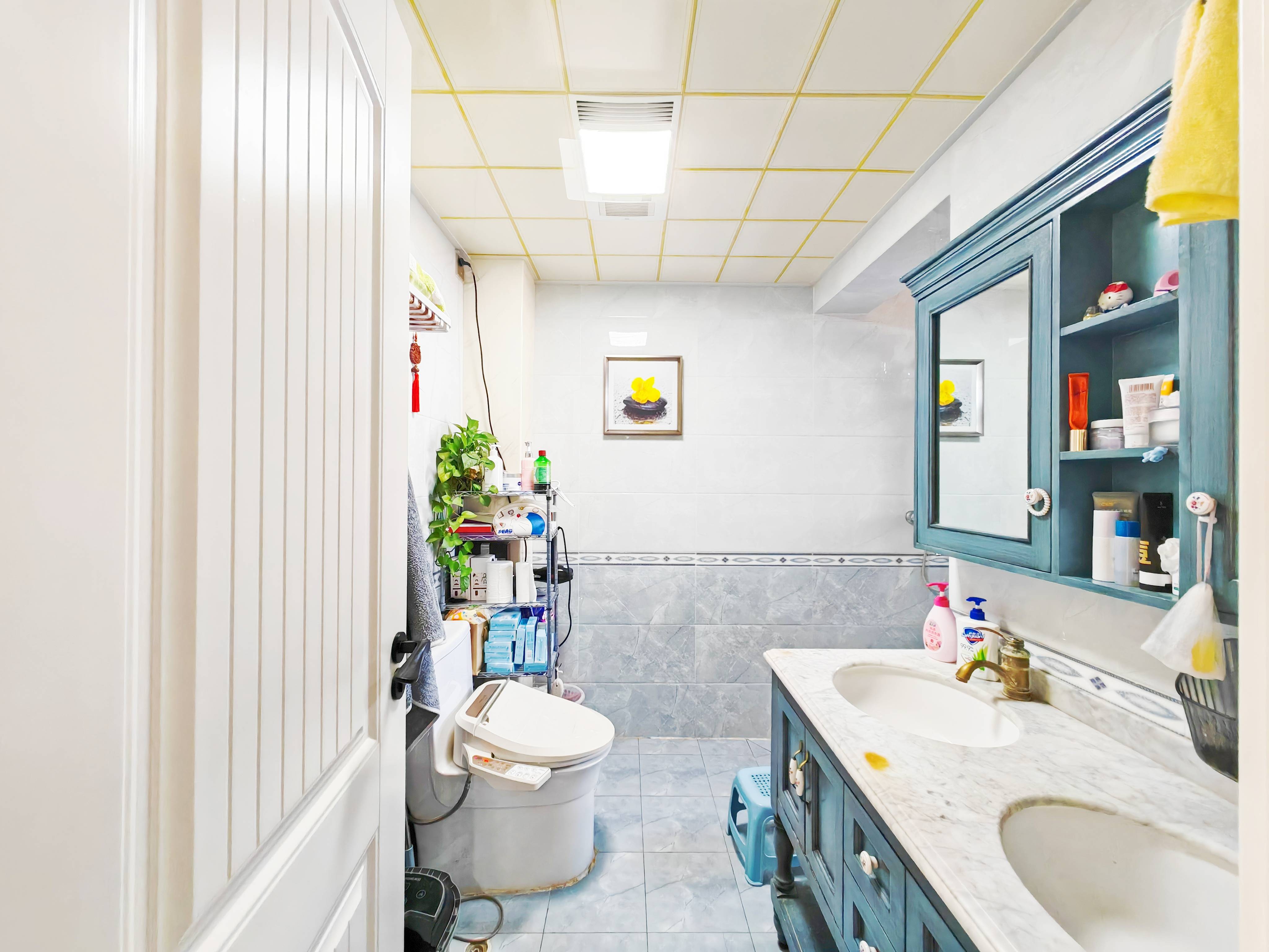 鲁能领秀城中央公园东区