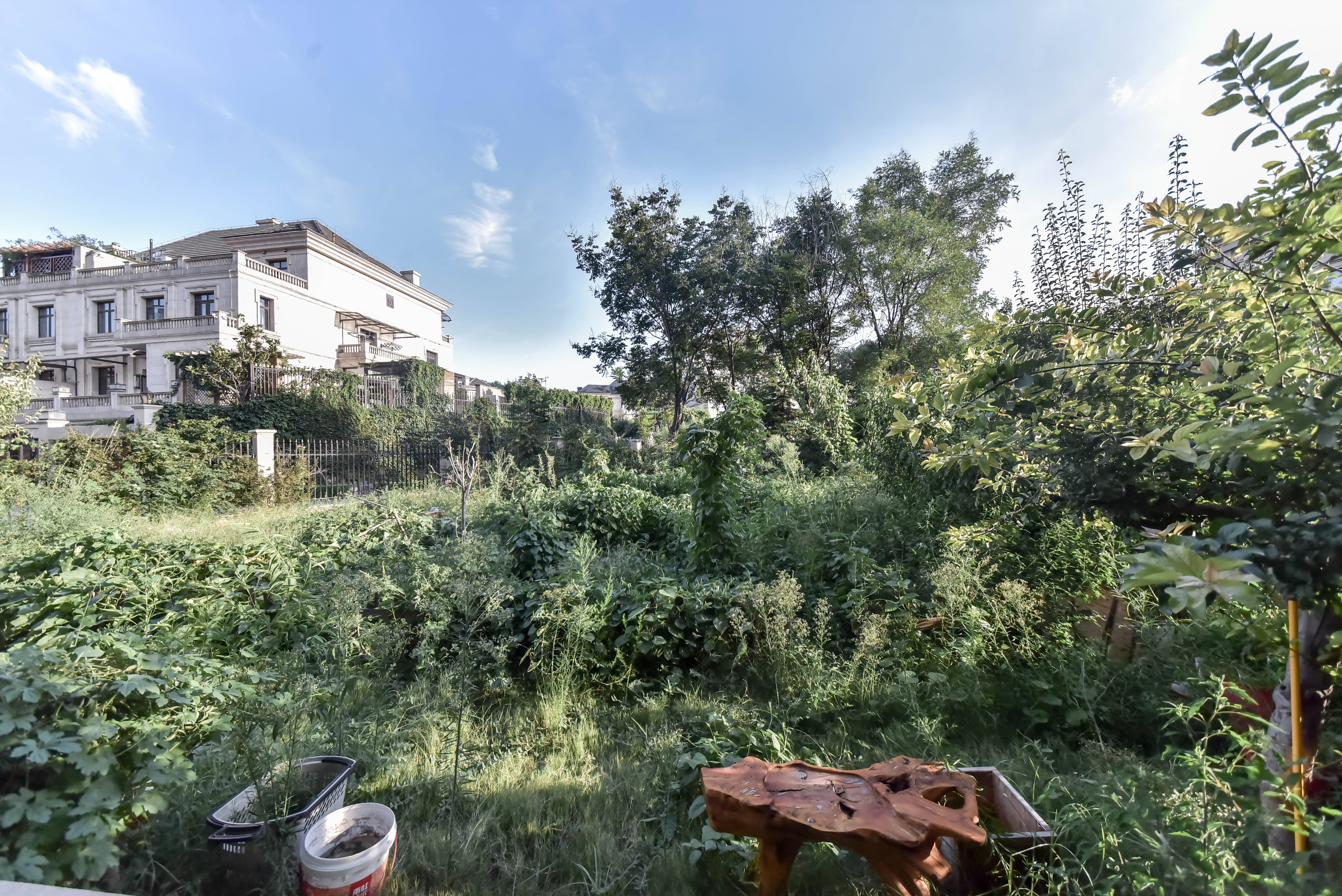 银丰唐郡桂花园