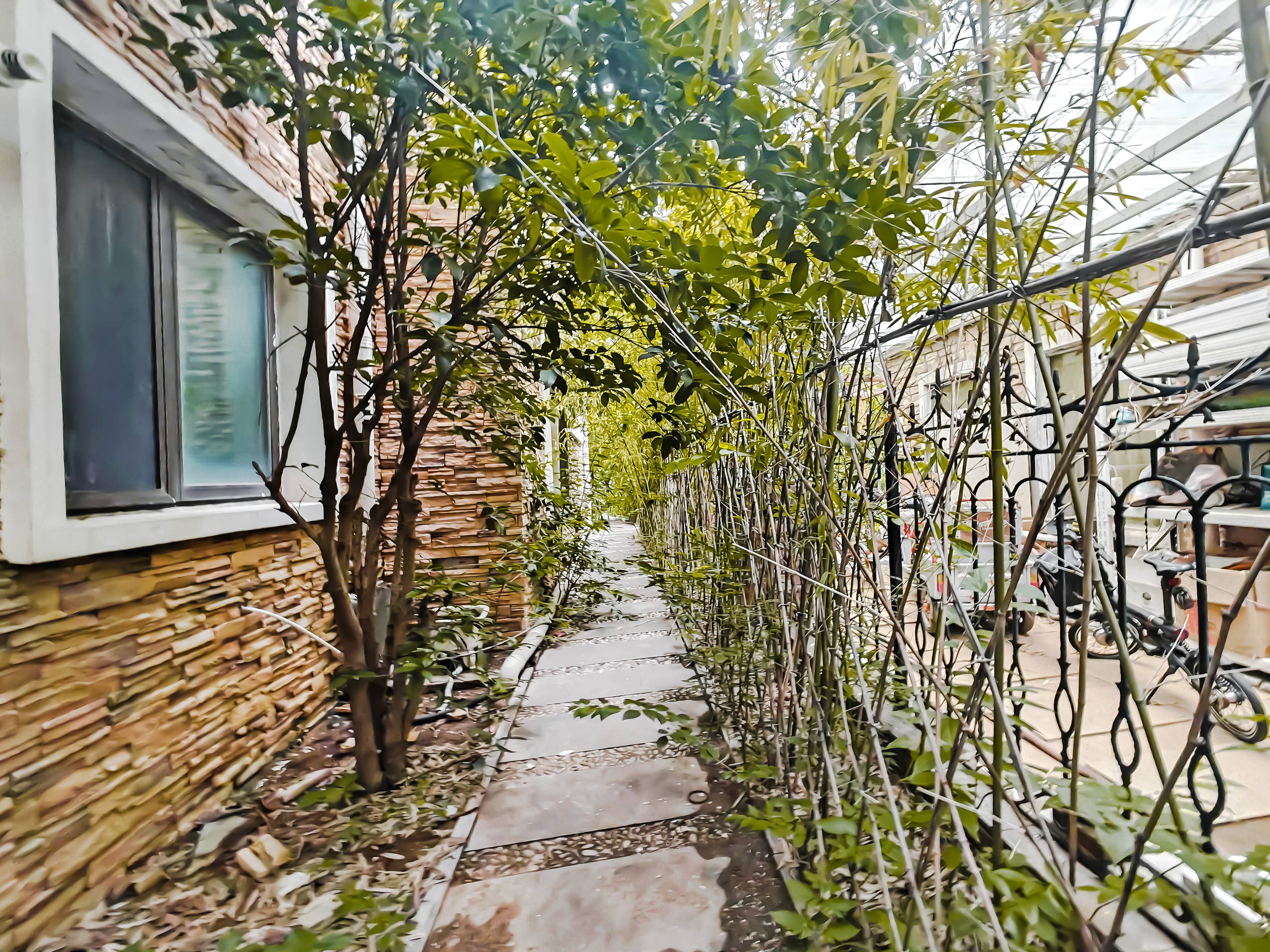 世通新生活家园