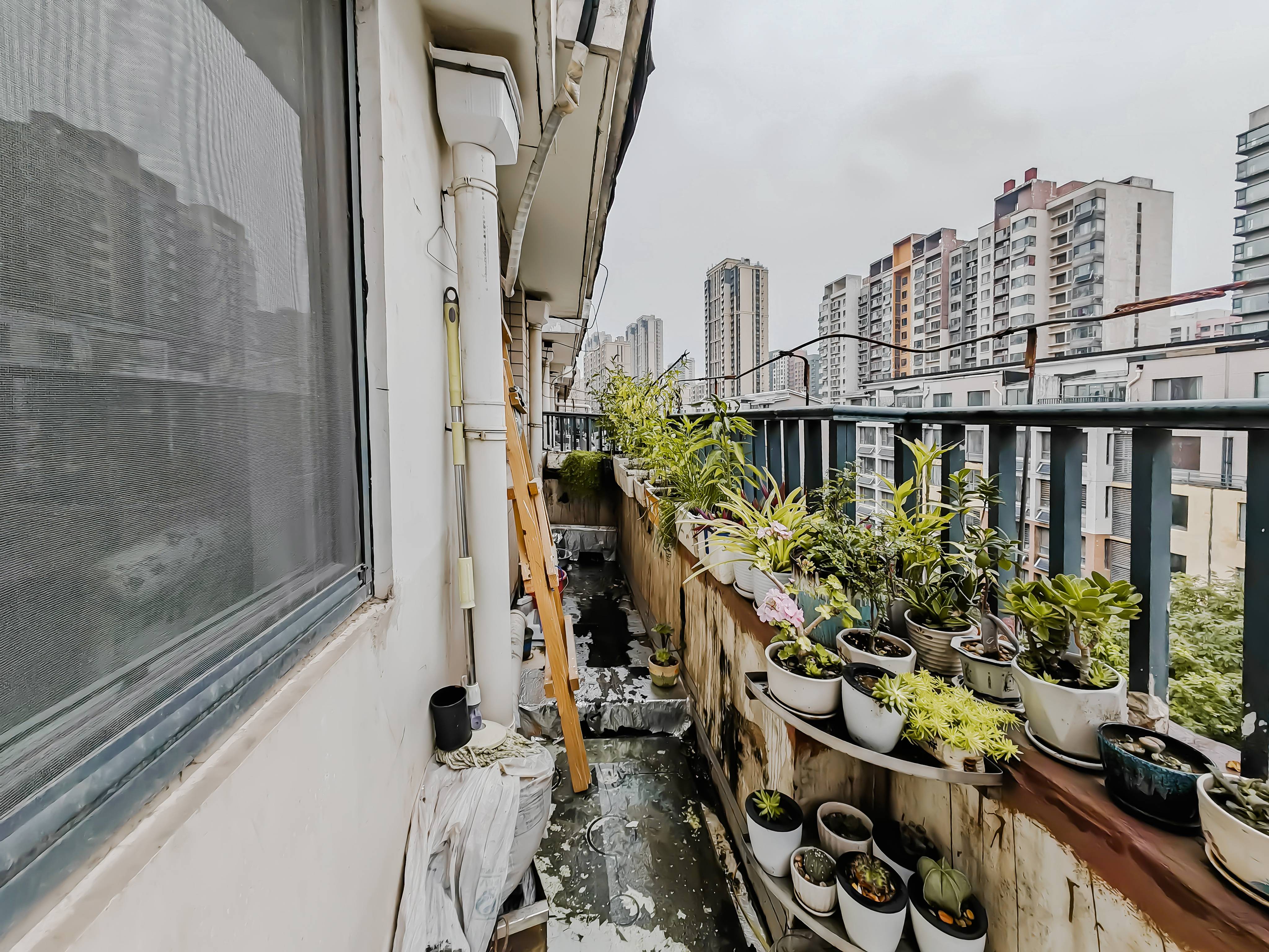 天鸿万象新天四区