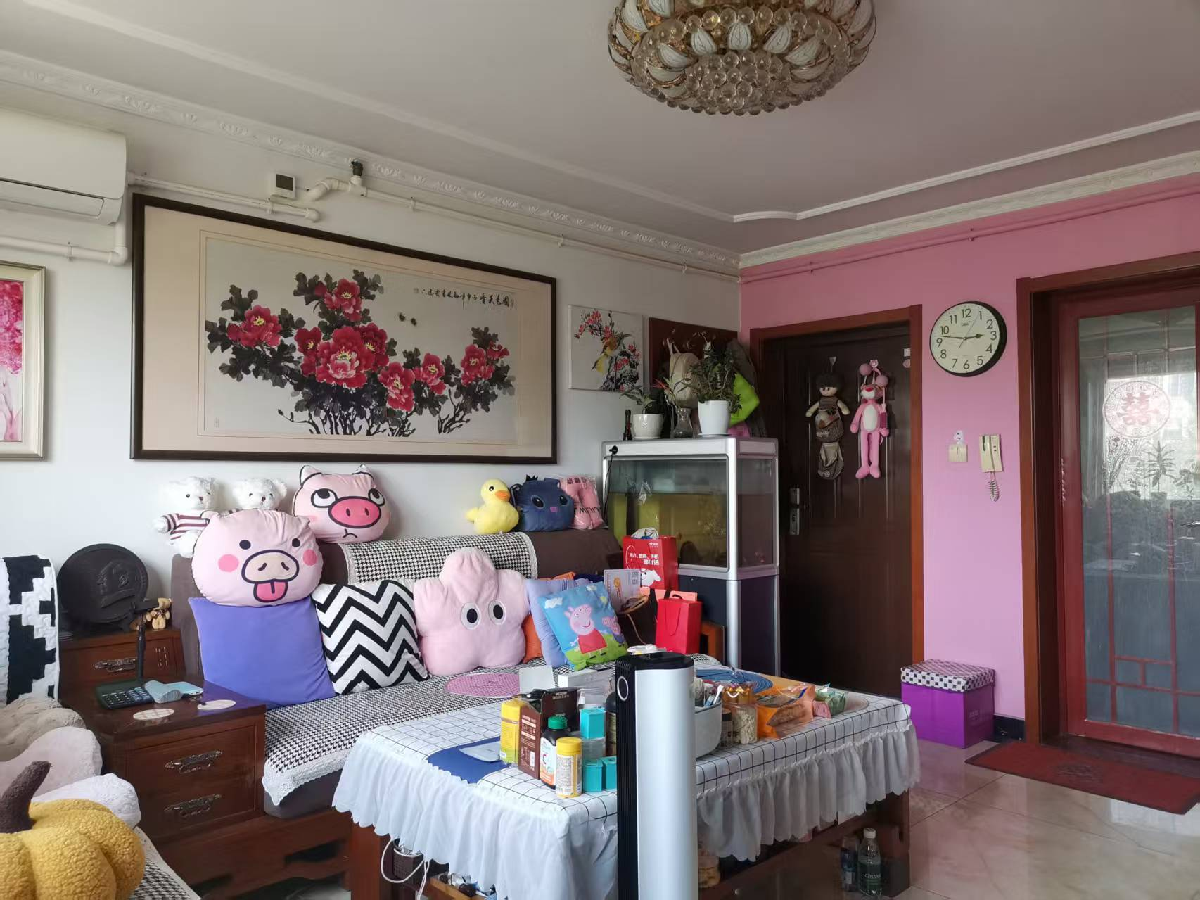  安乐镇小区  南北