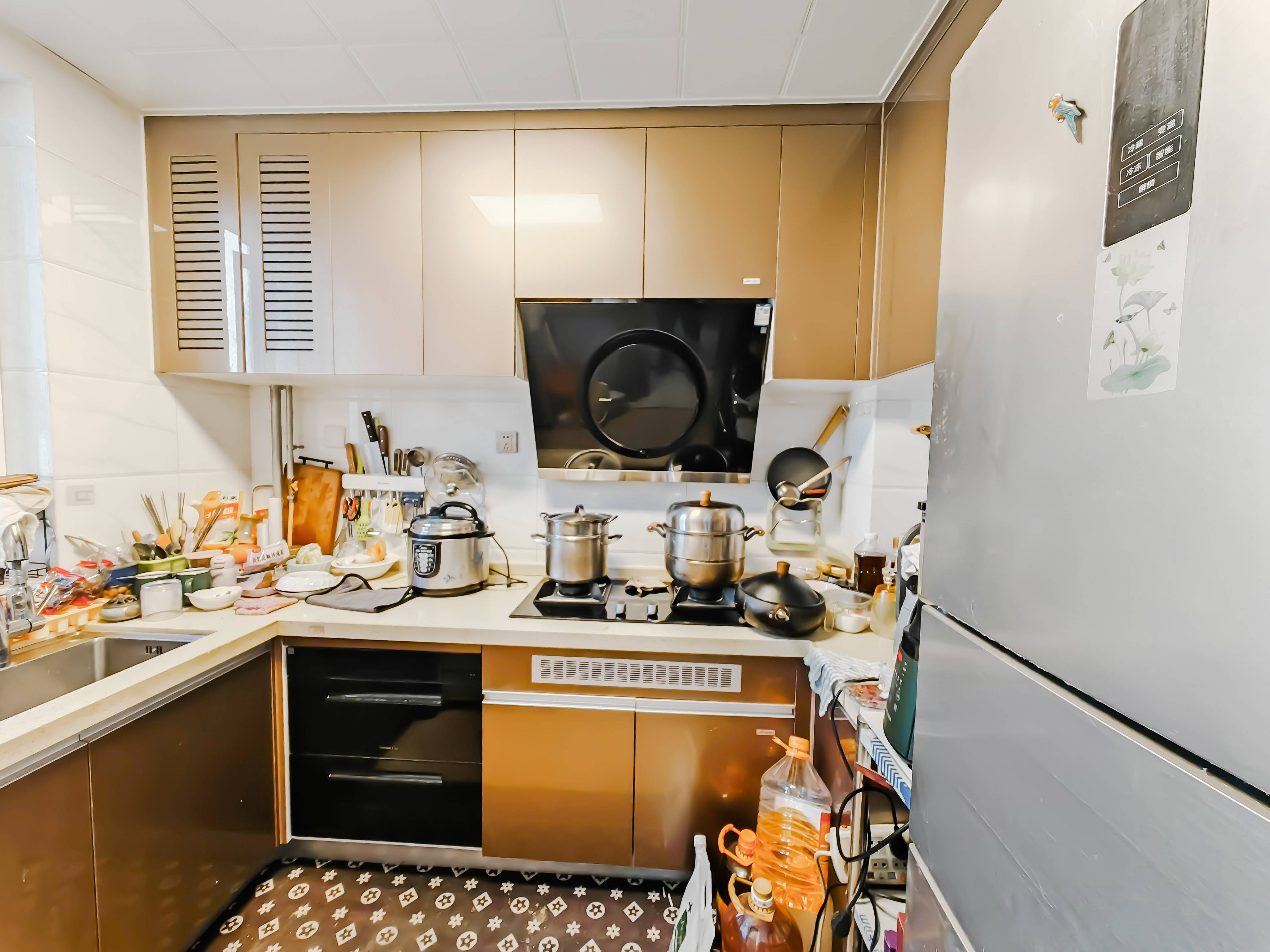 碧桂园凤凰首府