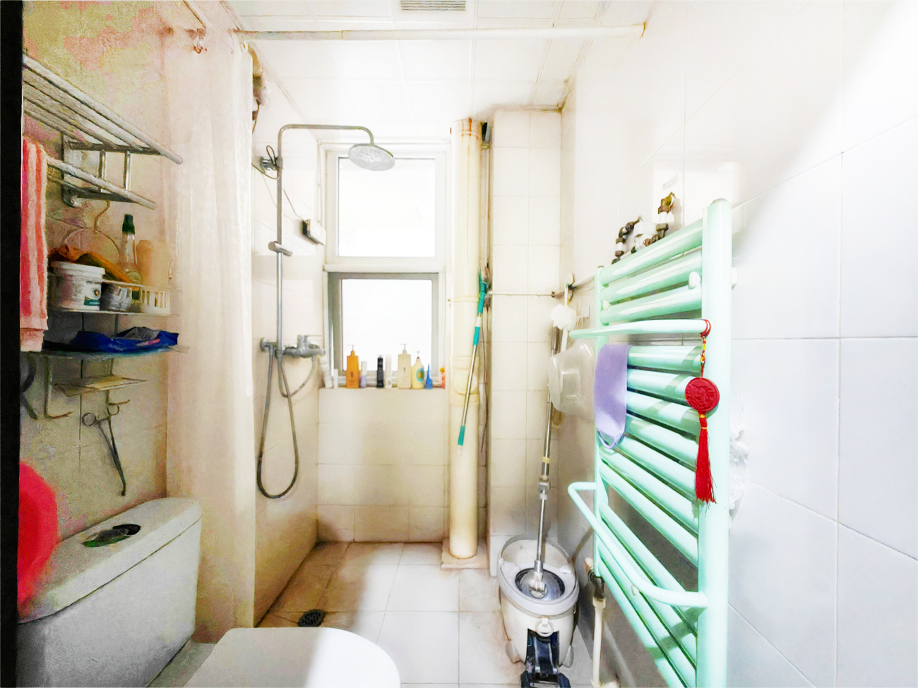 鲁能领秀城A区(十区)