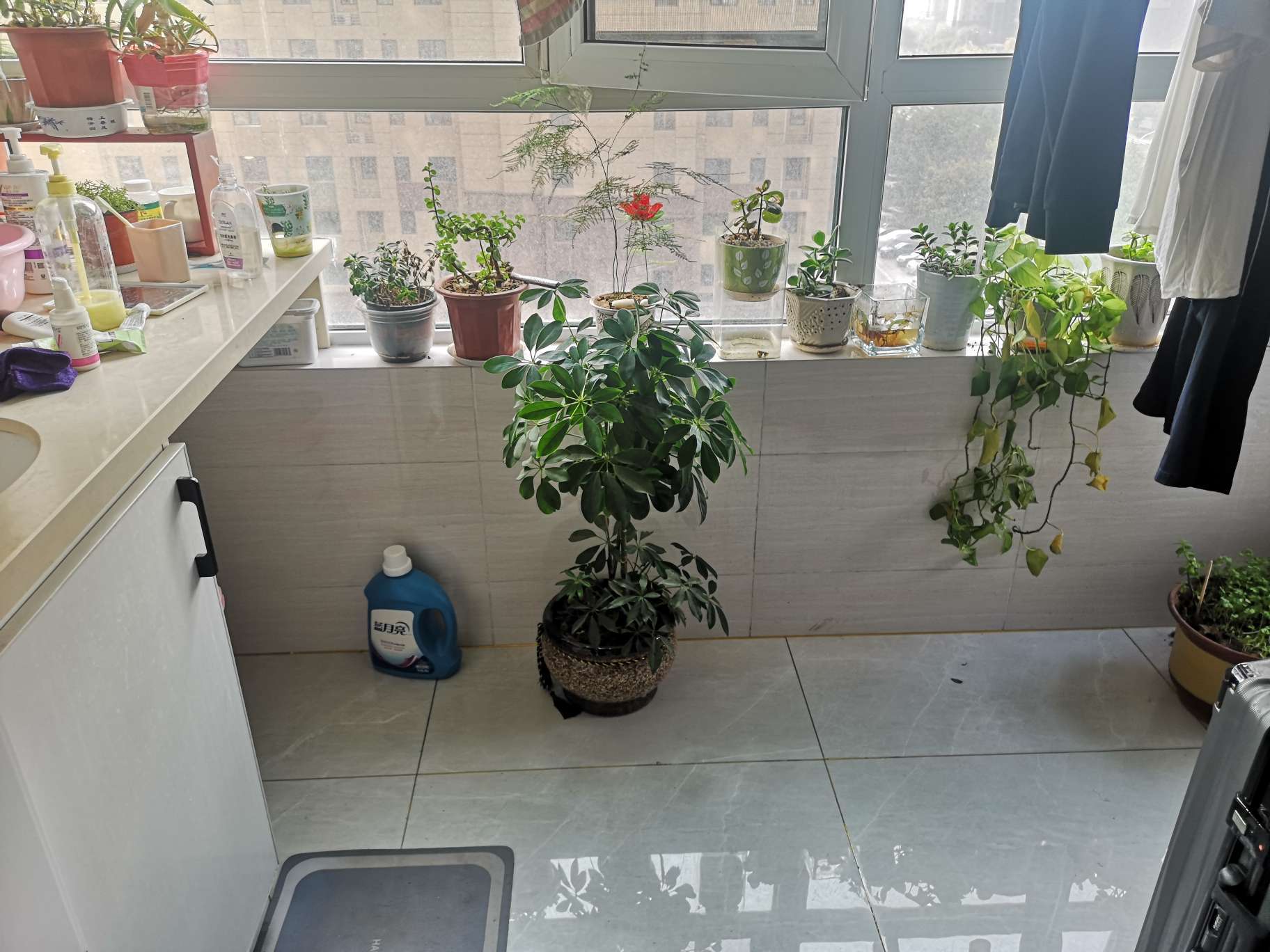 绿地新里香榭丽公馆