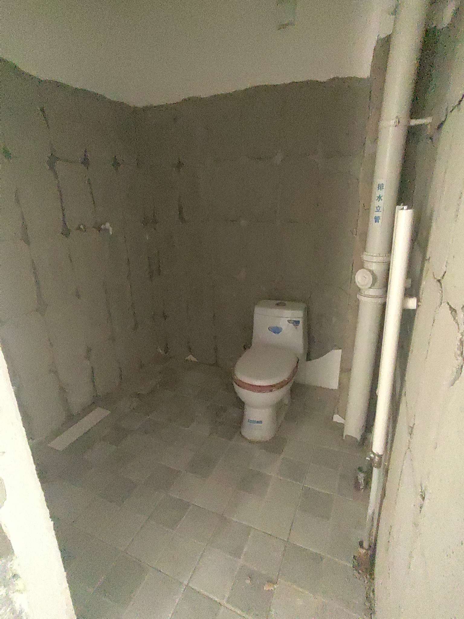 龙泉壹号