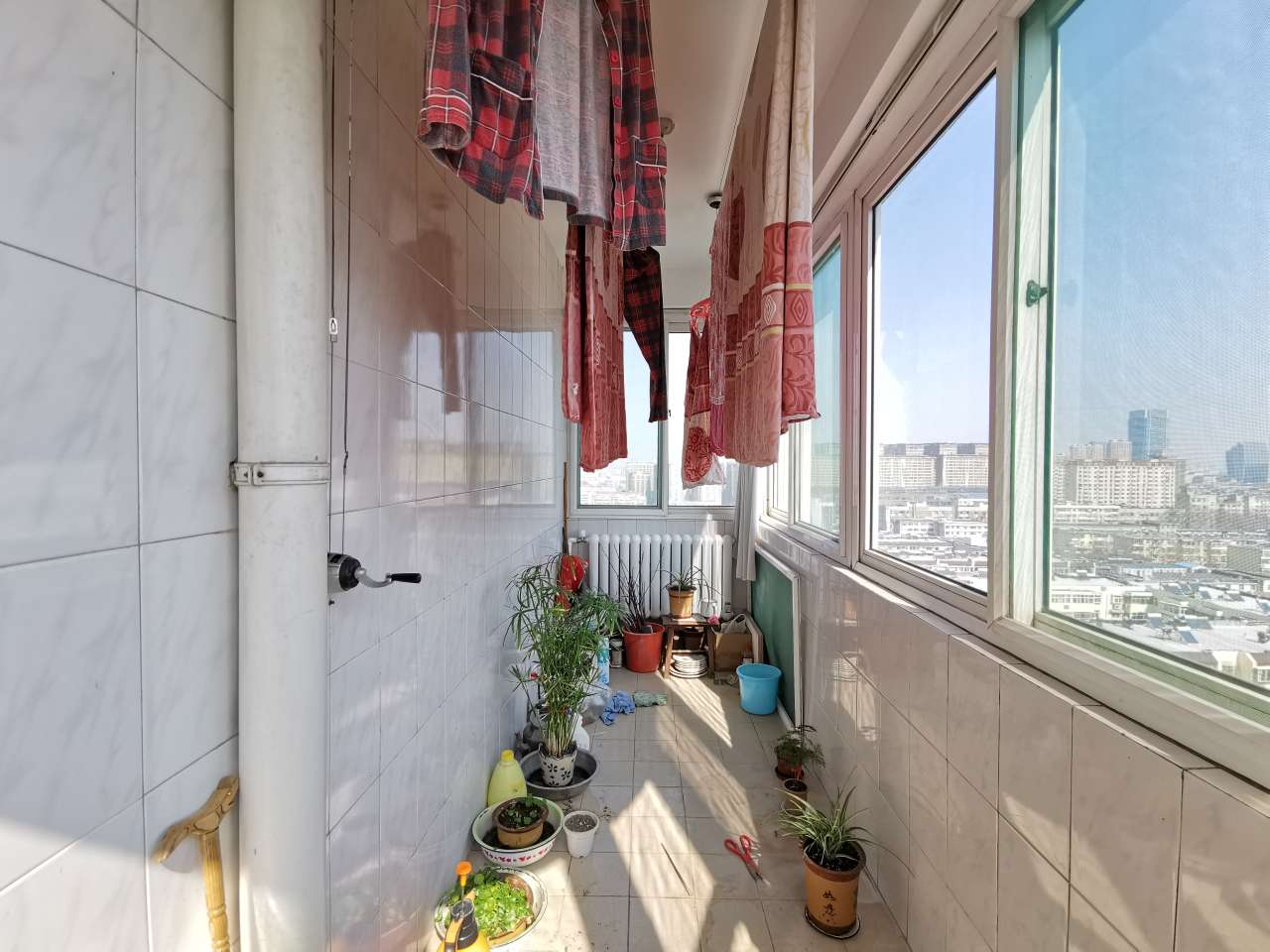 文化东路山师宿舍