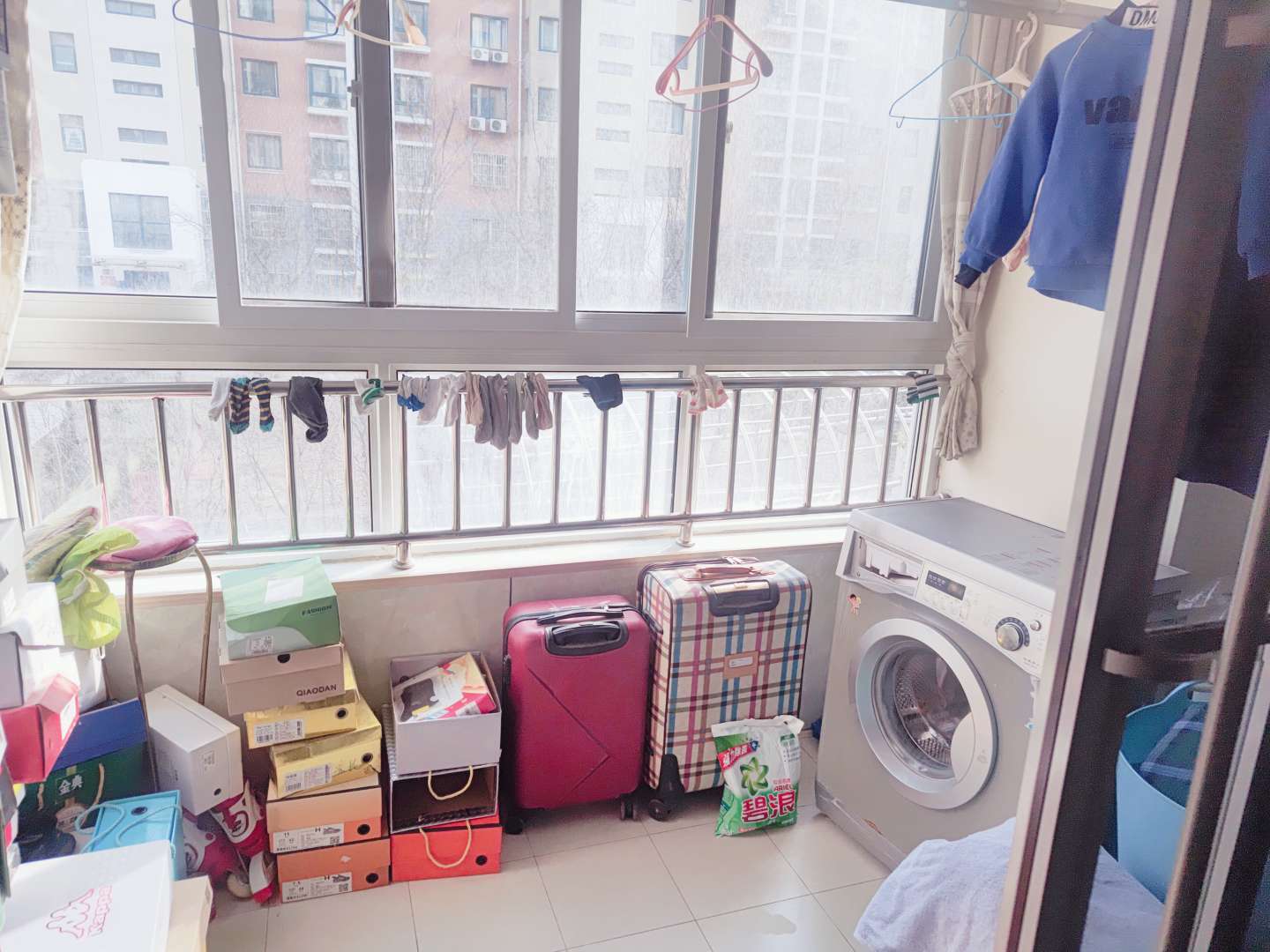 鲁商常春藤