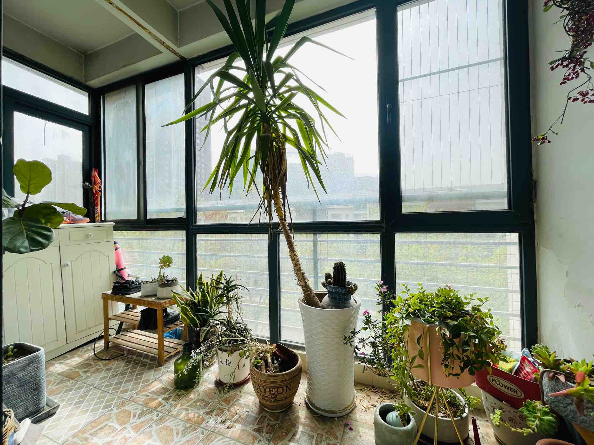 世通新生活家园