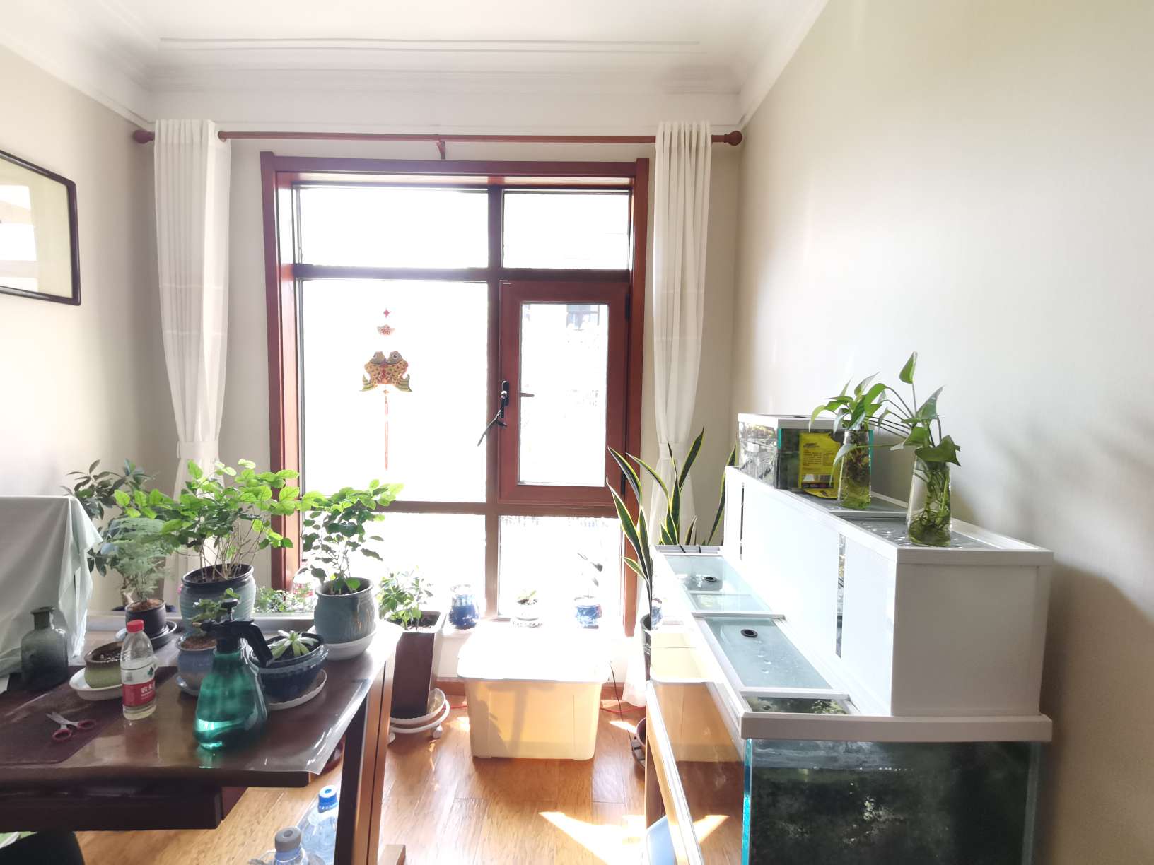 银丰唐郡桂花园