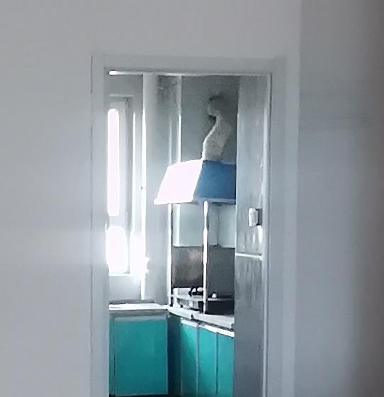龙湖春江郦城