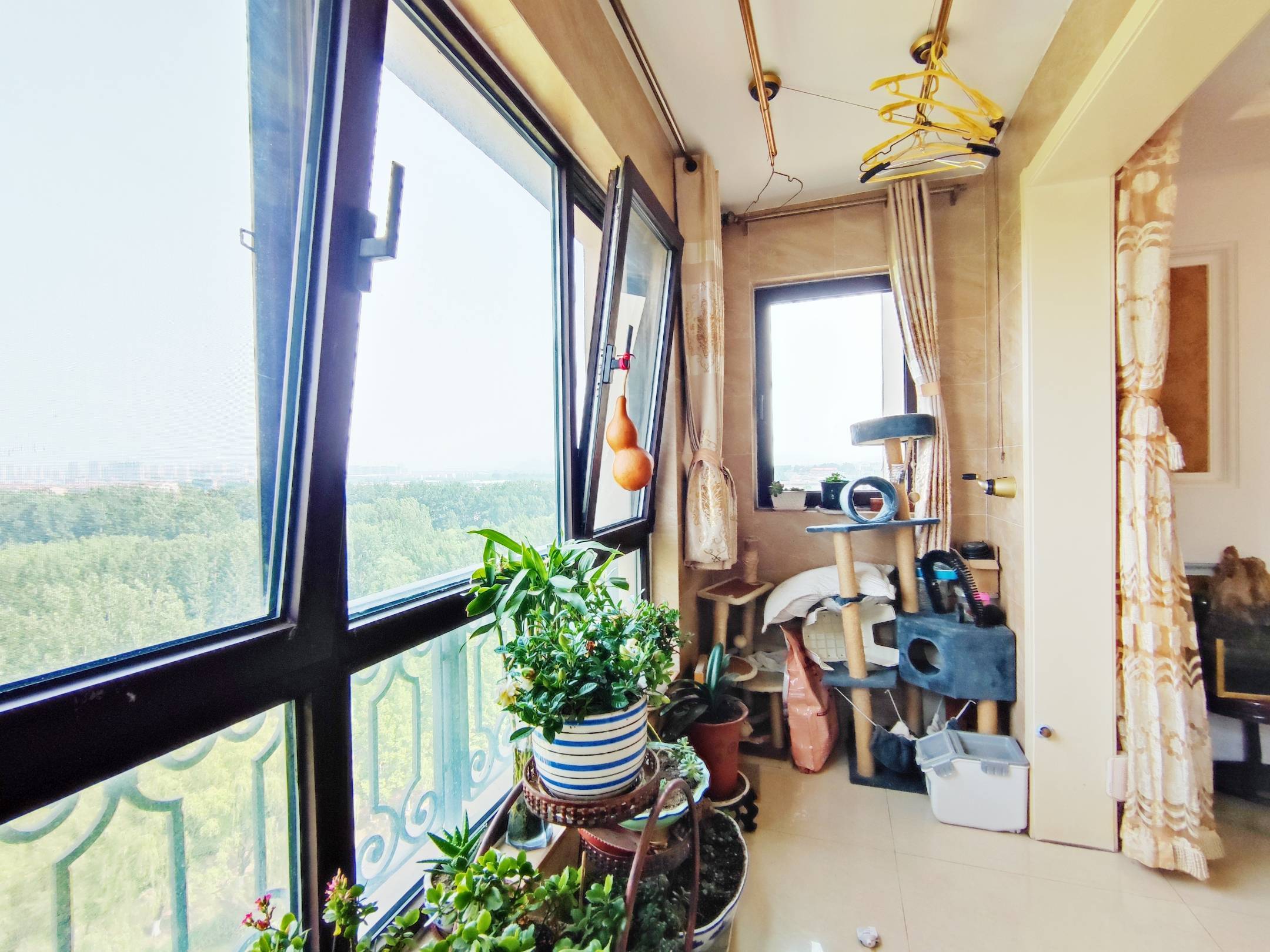 蓝石大溪地