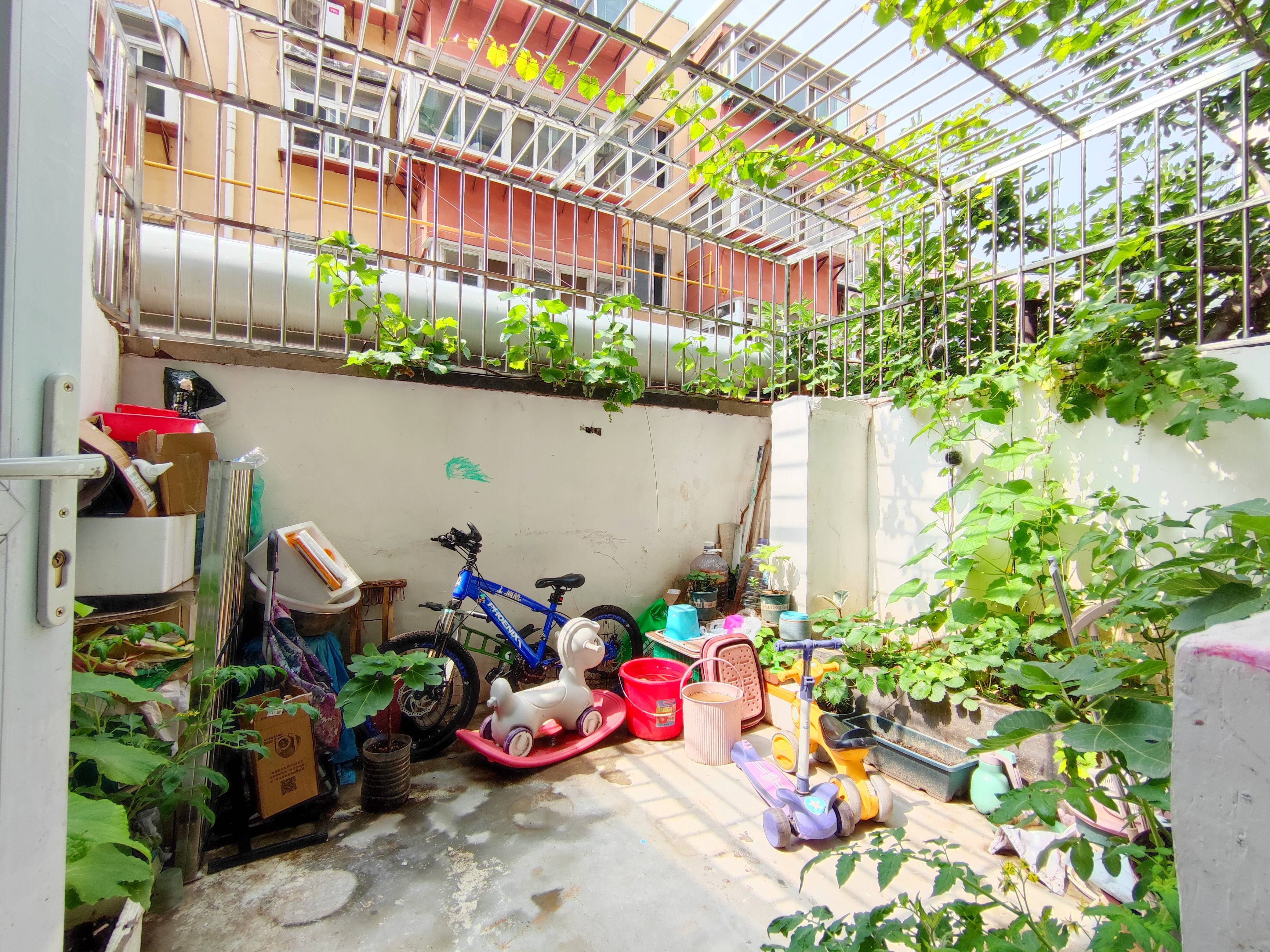 营市西街社区