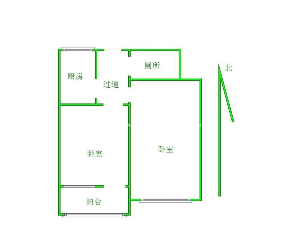北大槐树51号