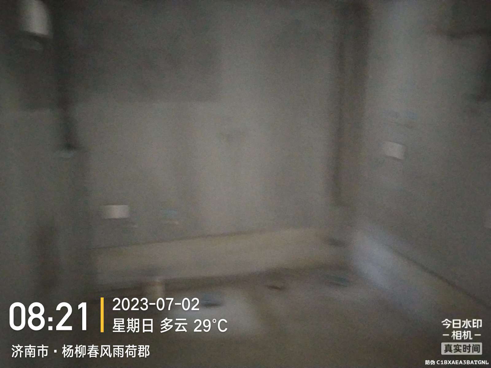 杨柳春风