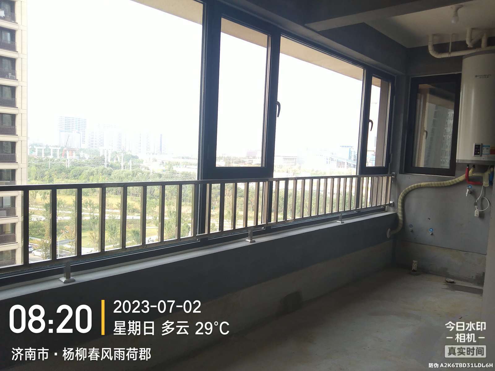 杨柳春风