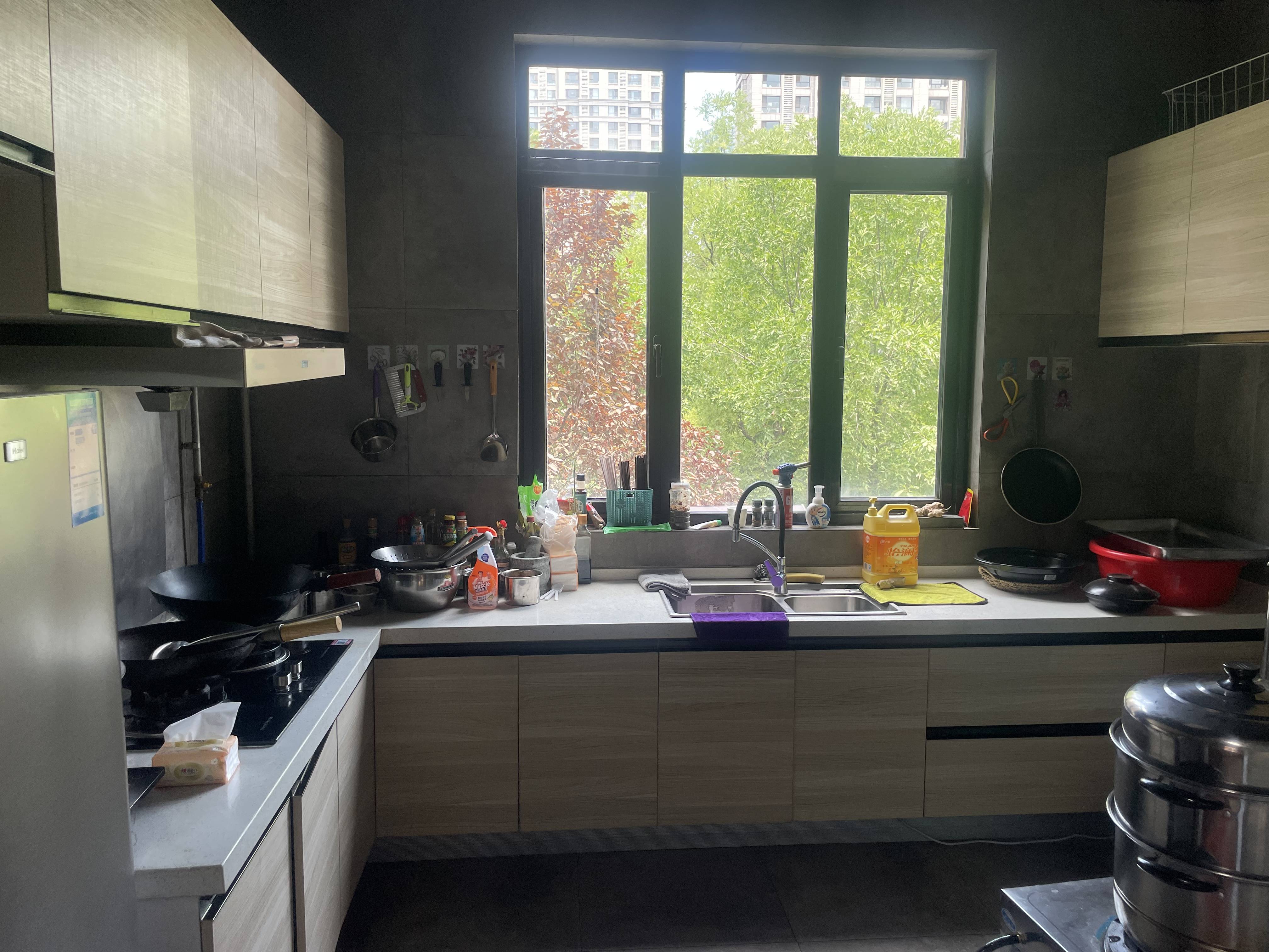 中海奥龙观邸别墅