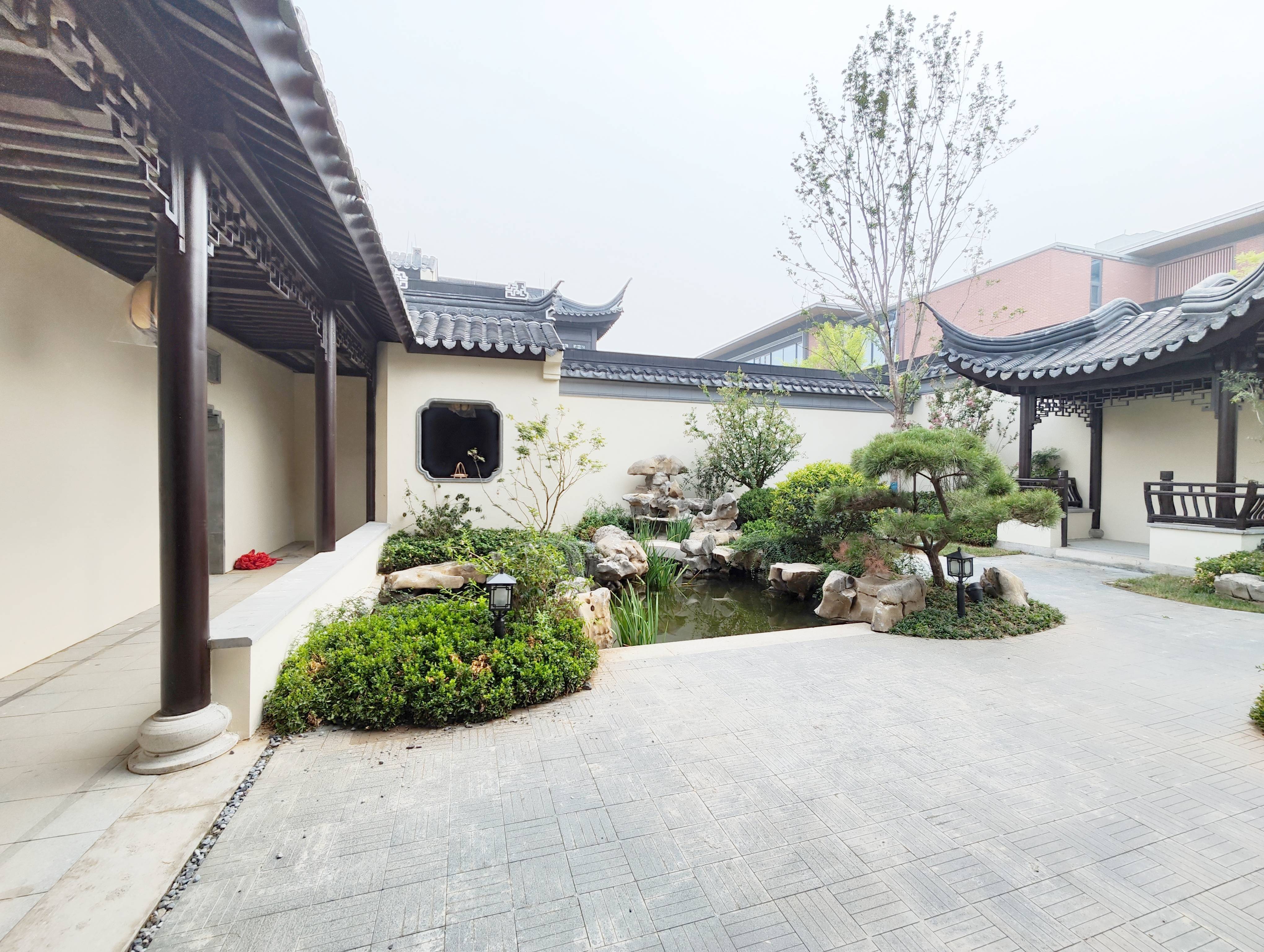 杨柳春风