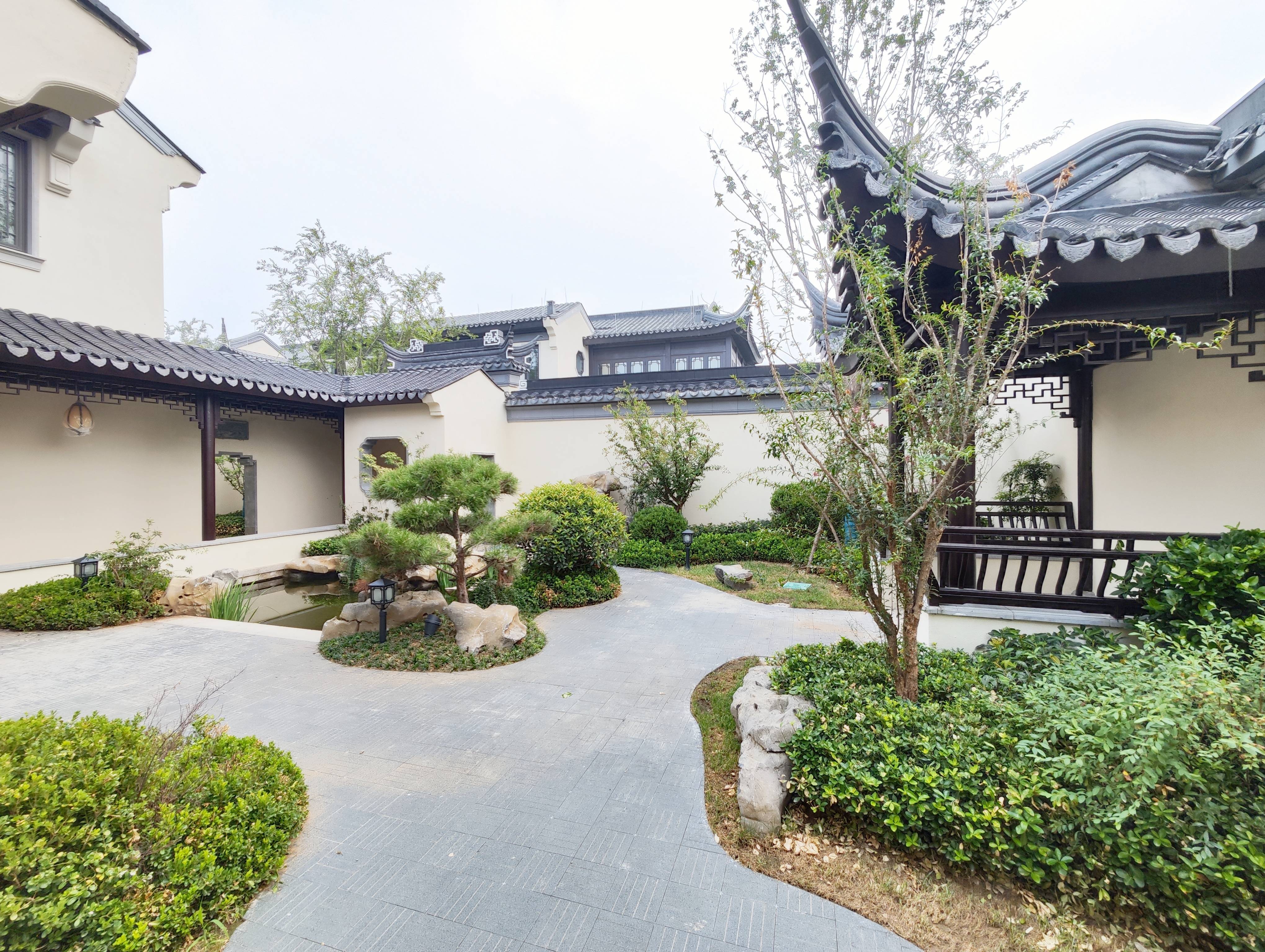 杨柳春风