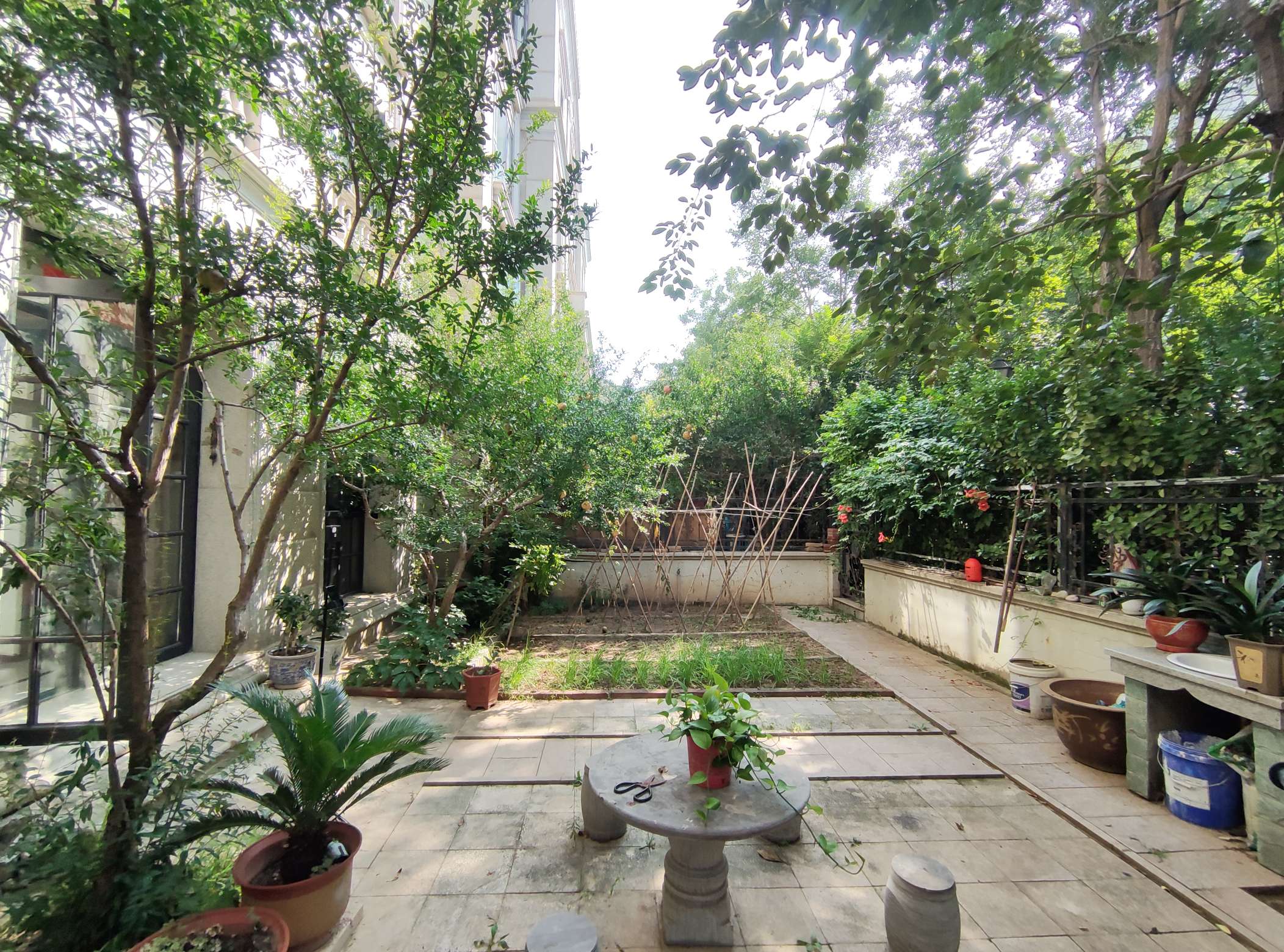 海尔绿城玫瑰园