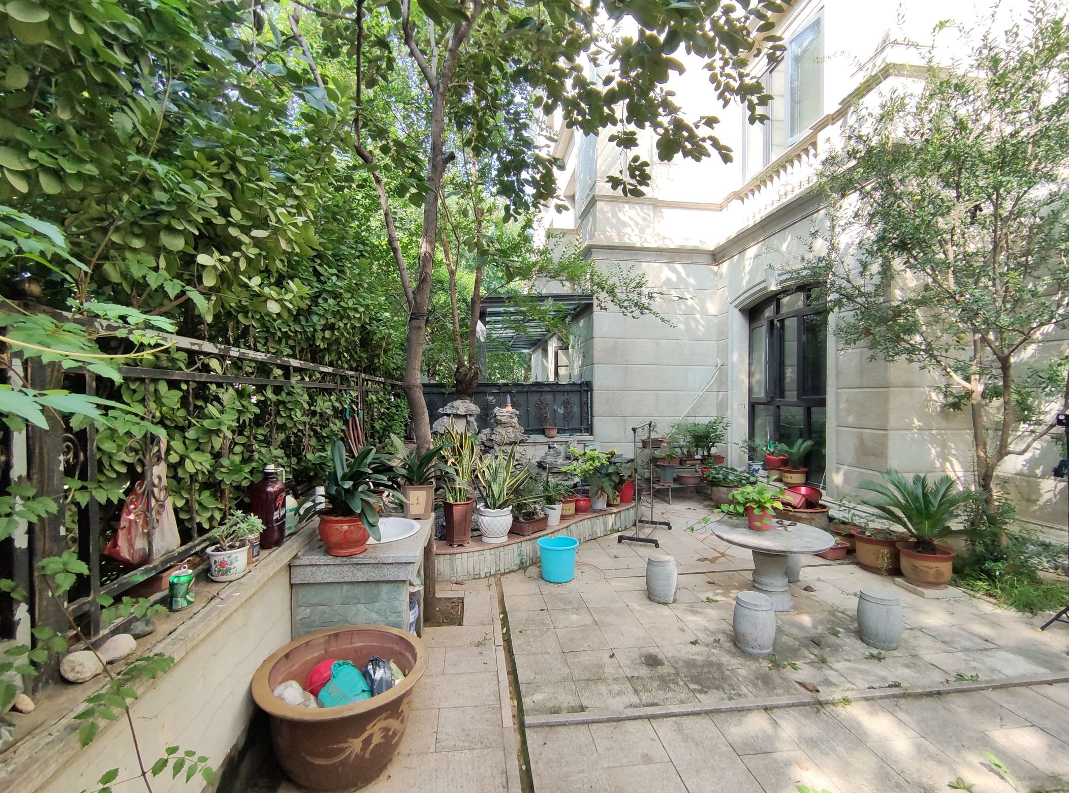 海尔绿城玫瑰园