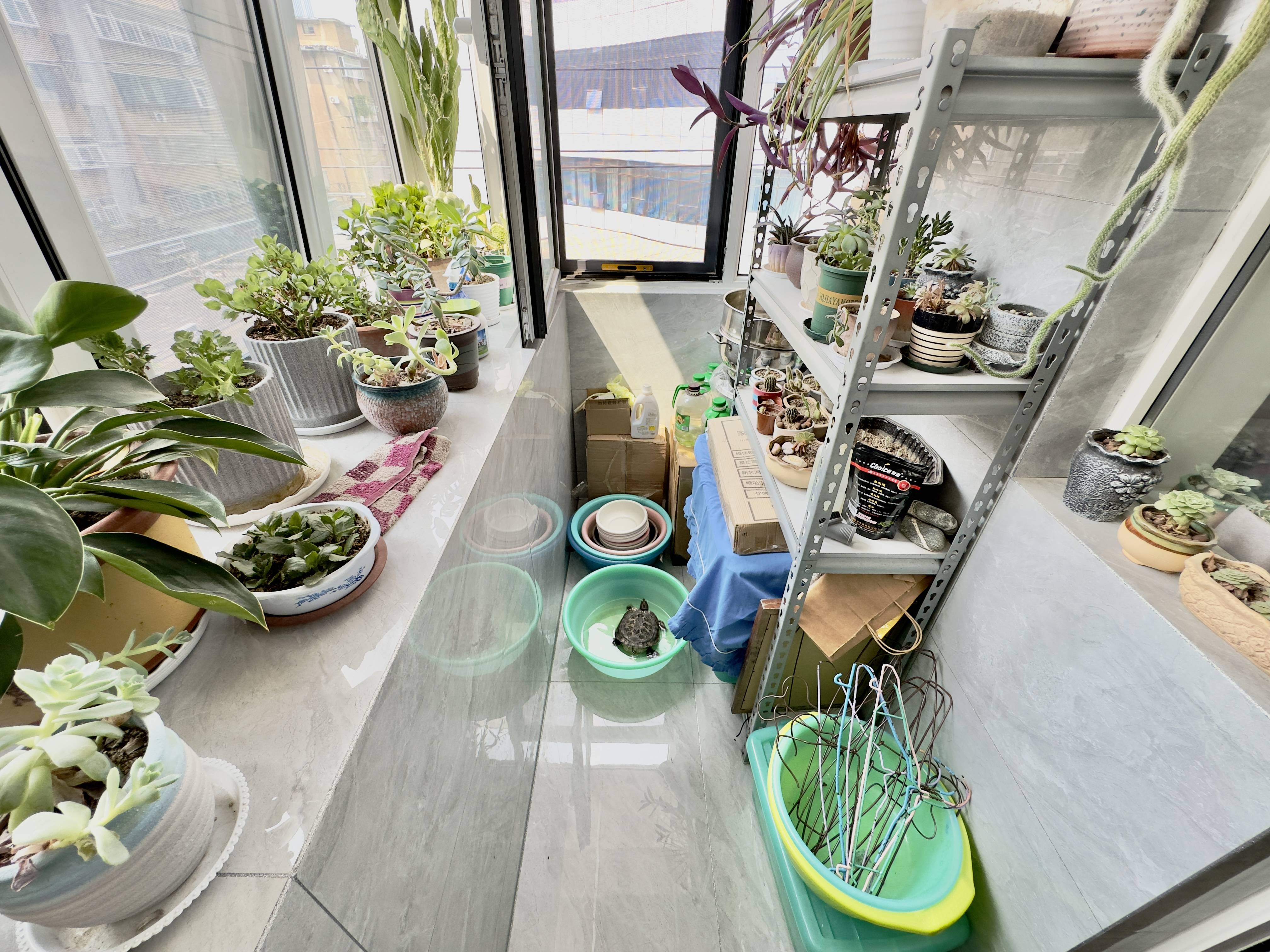 胜利大街单位宿舍