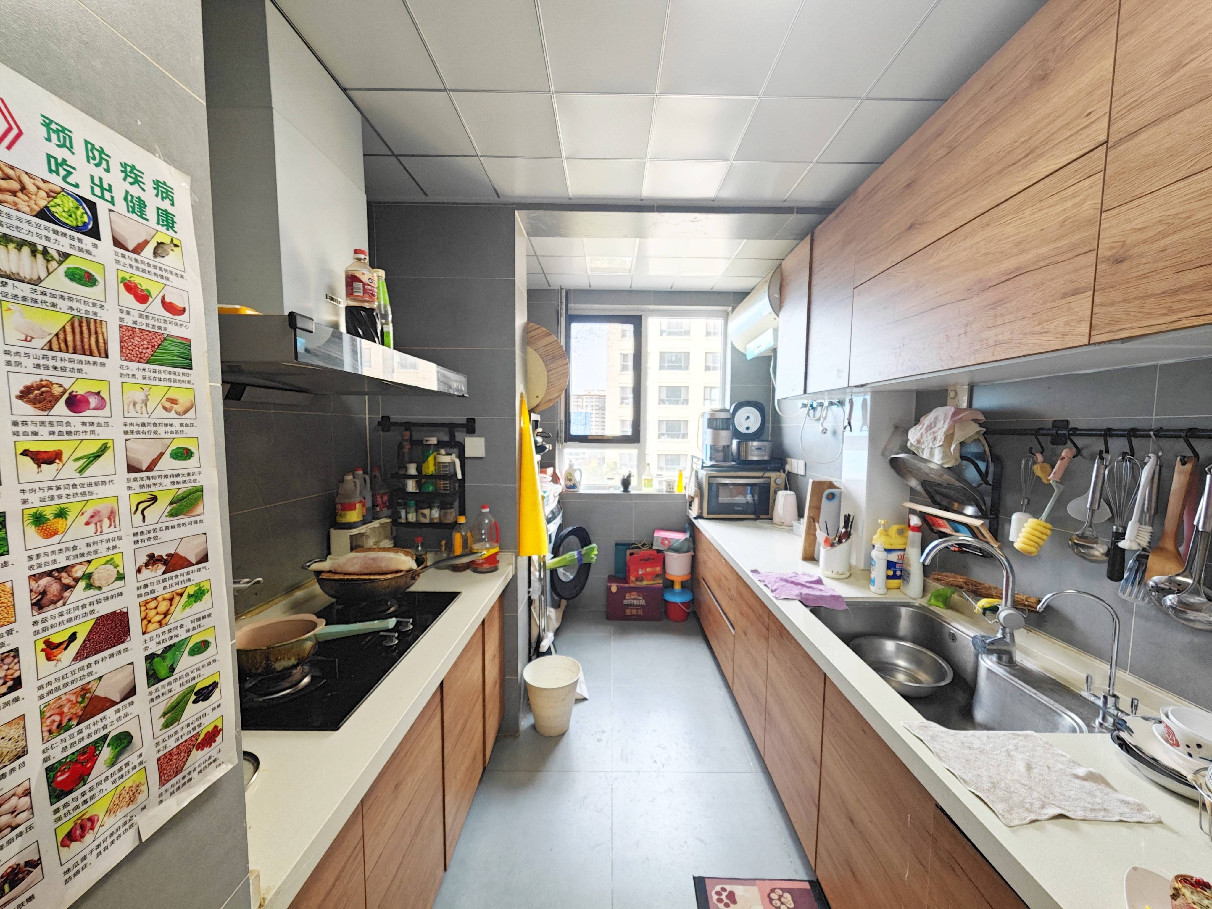 银丰唐郡牡丹园