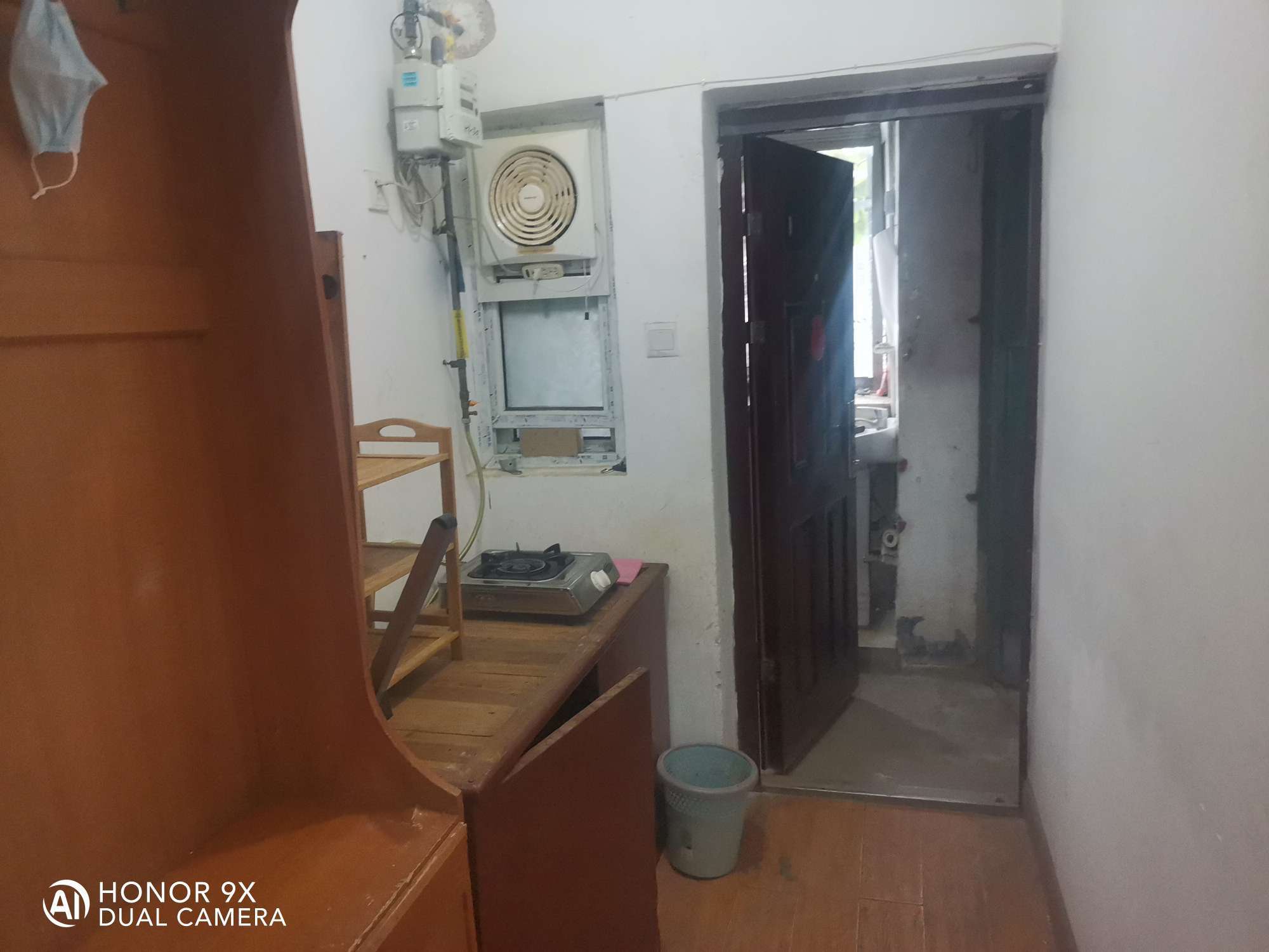 北大槐树51号