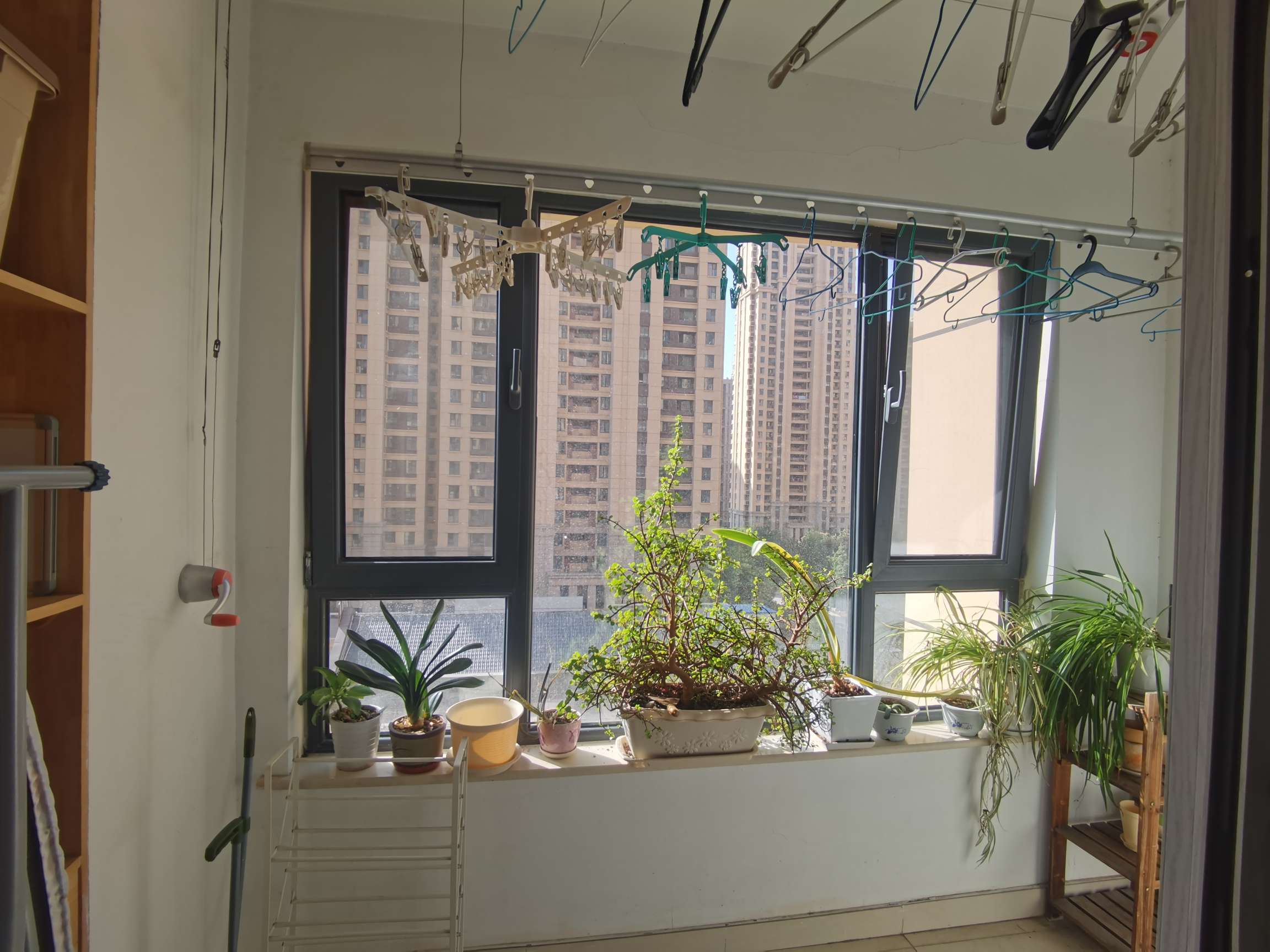 中建凤栖第
