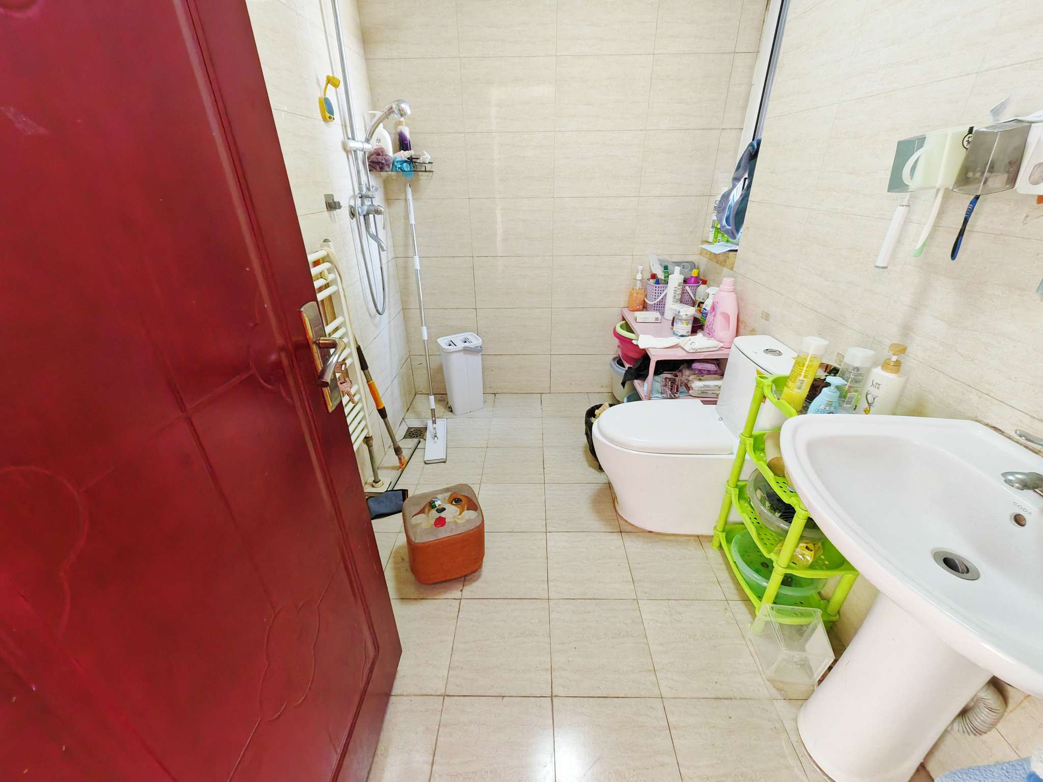 鲁商常春藤