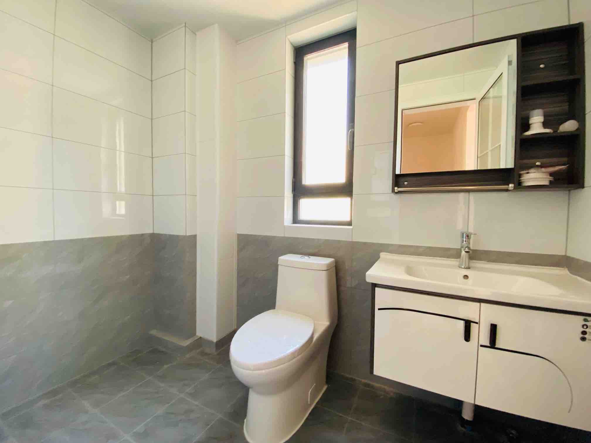 中新国际东城三区