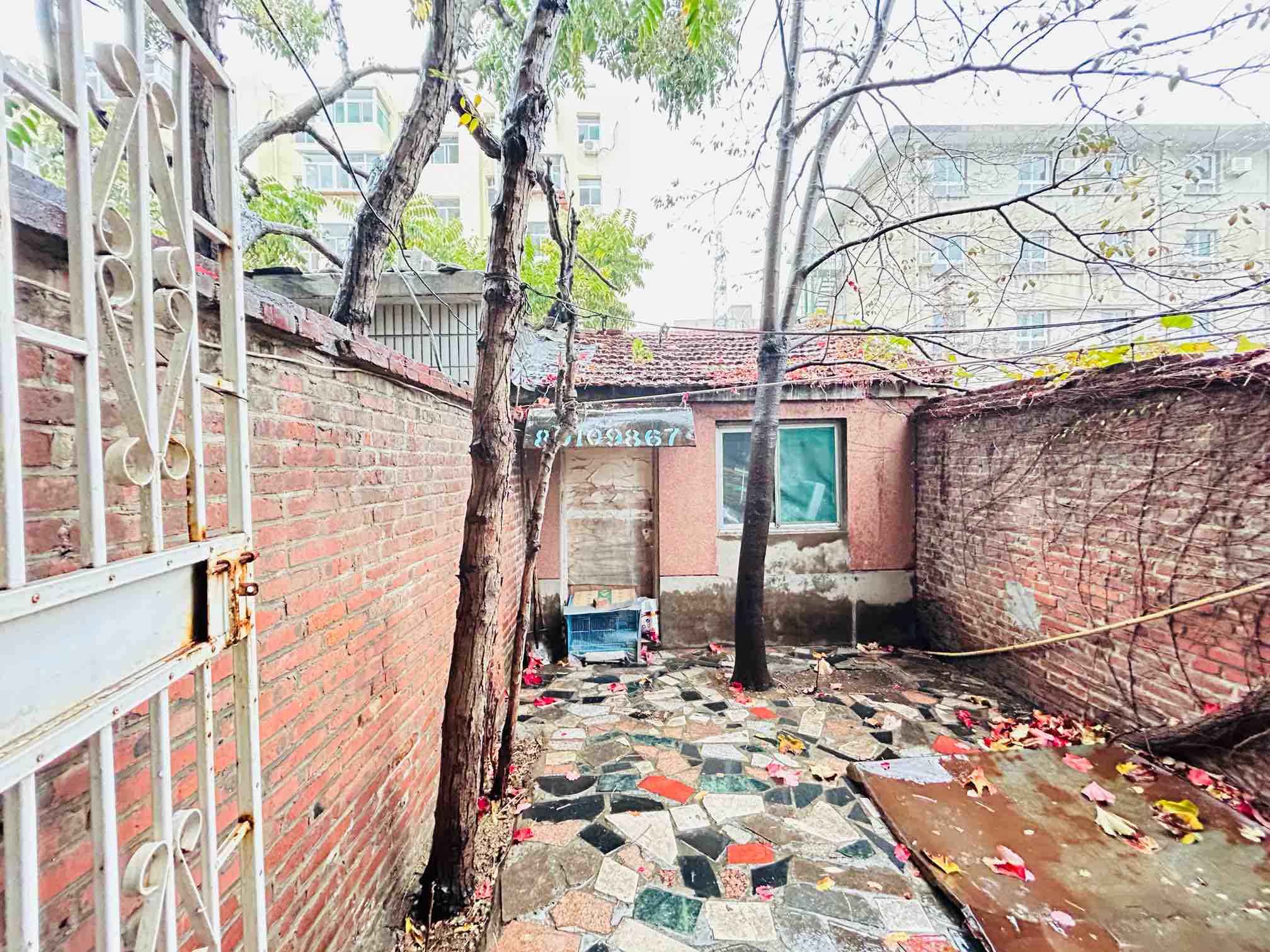 闵子骞路24号（粮食干校）