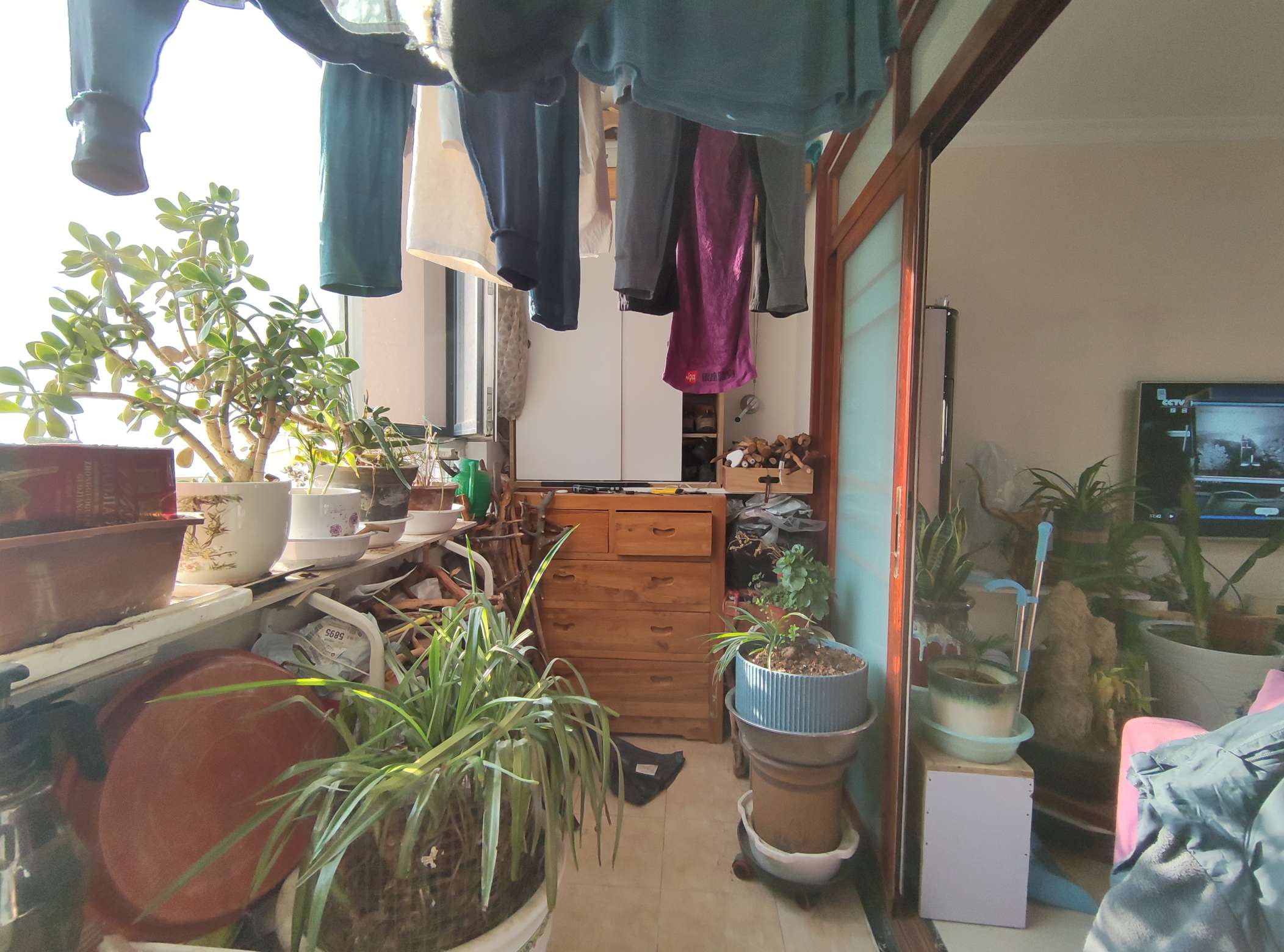 东城逸家逸士园