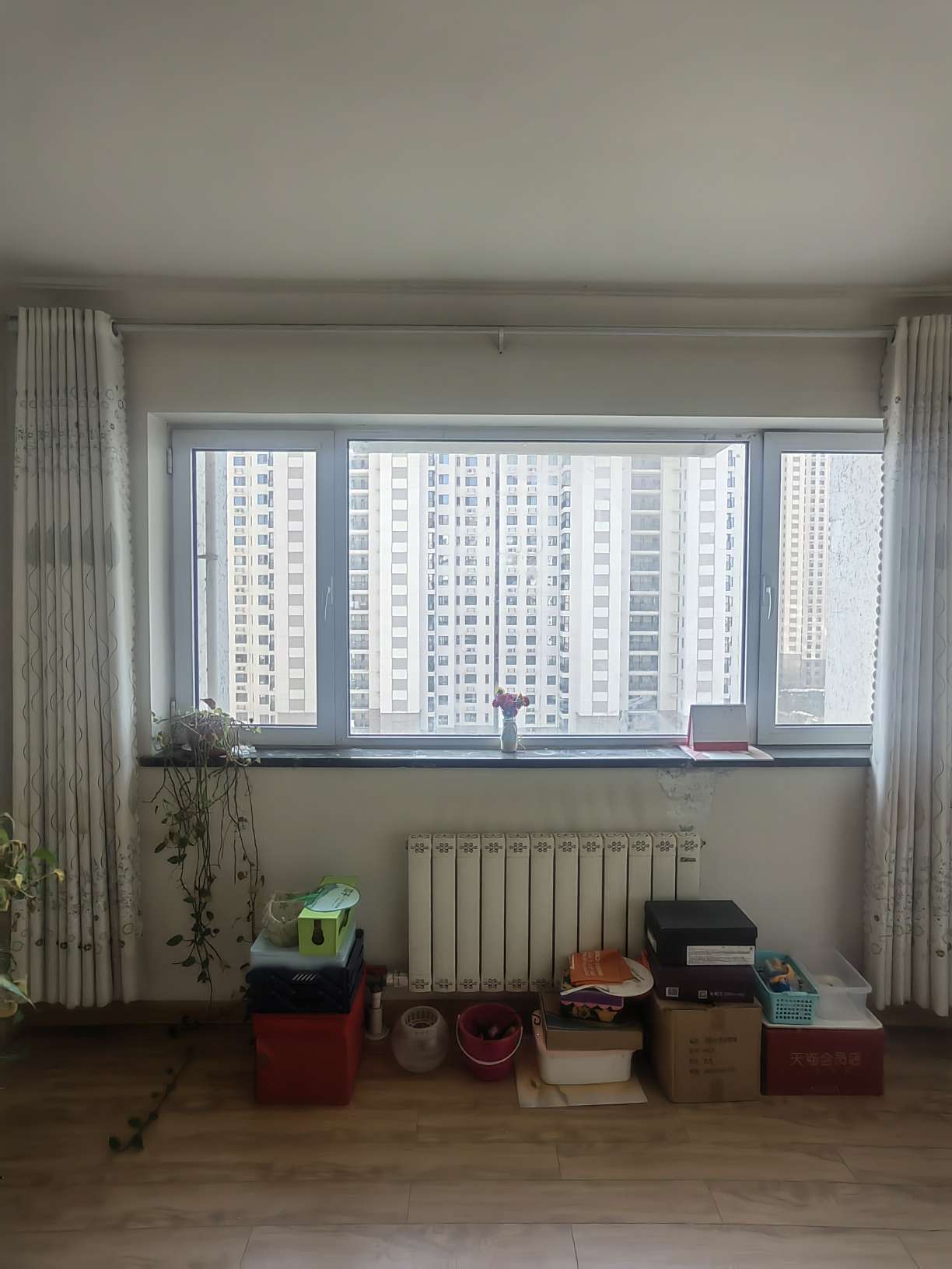 碧桂园凤凰城西区高层