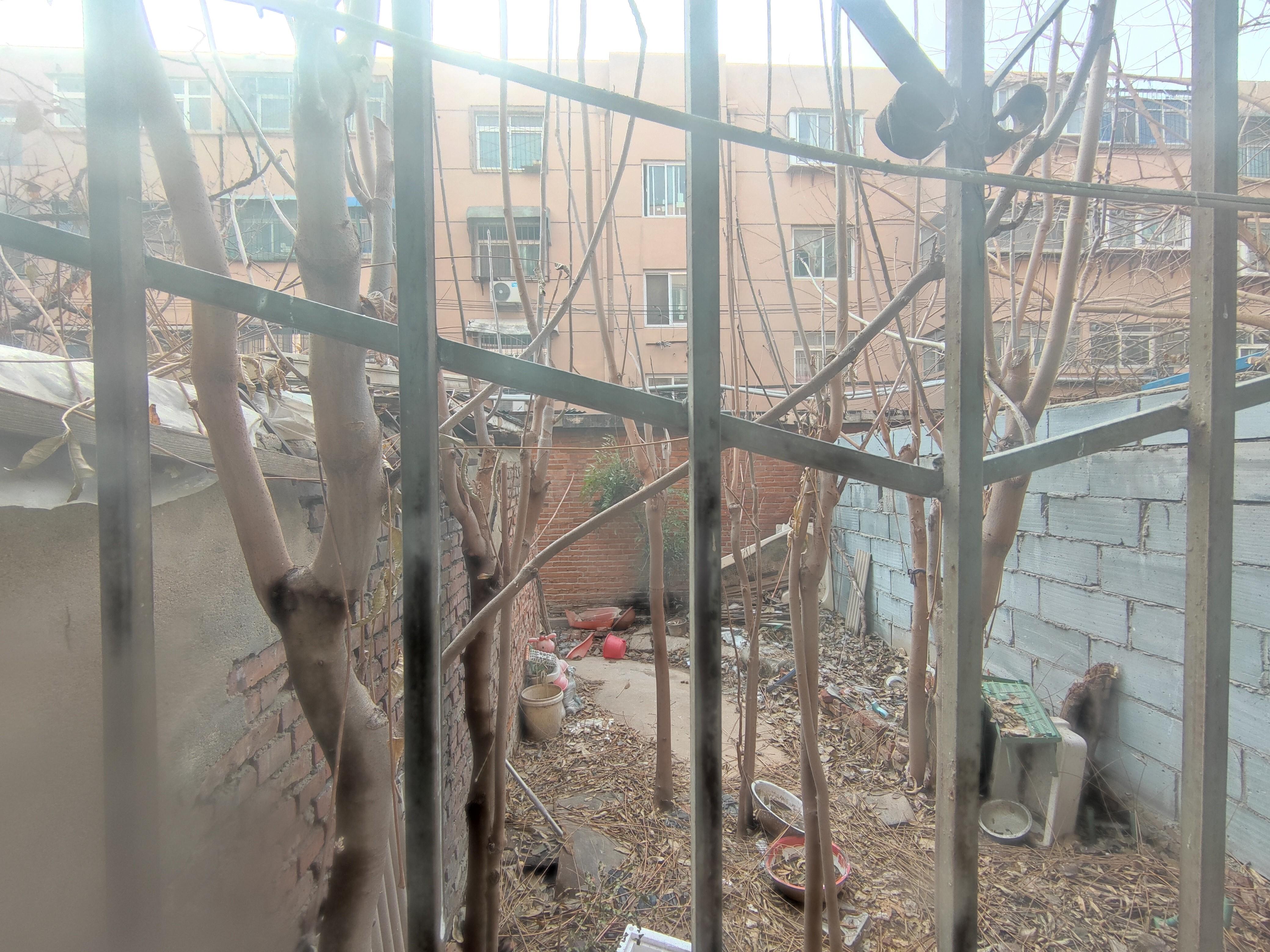 桃园小区