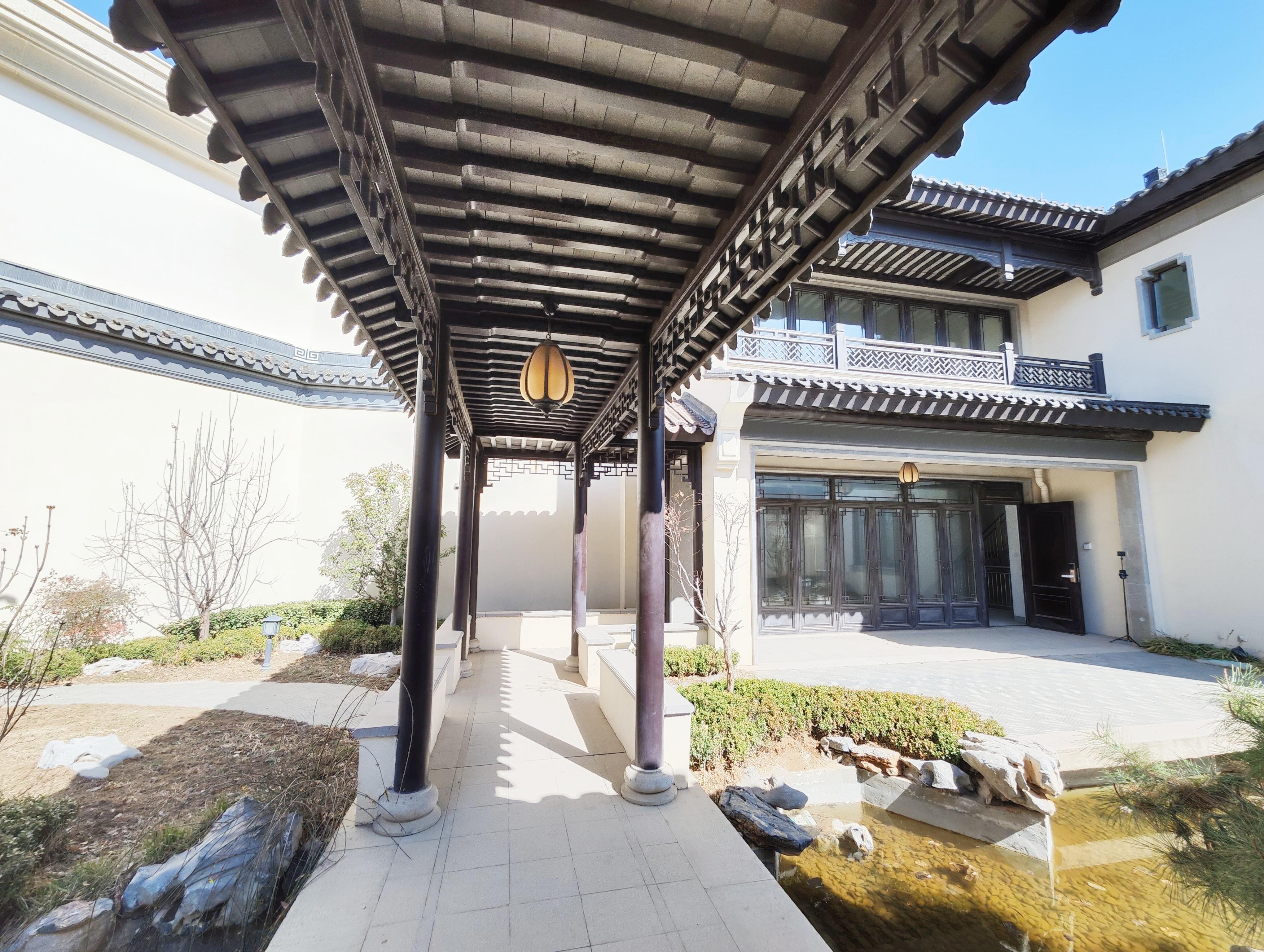 杨柳春风
